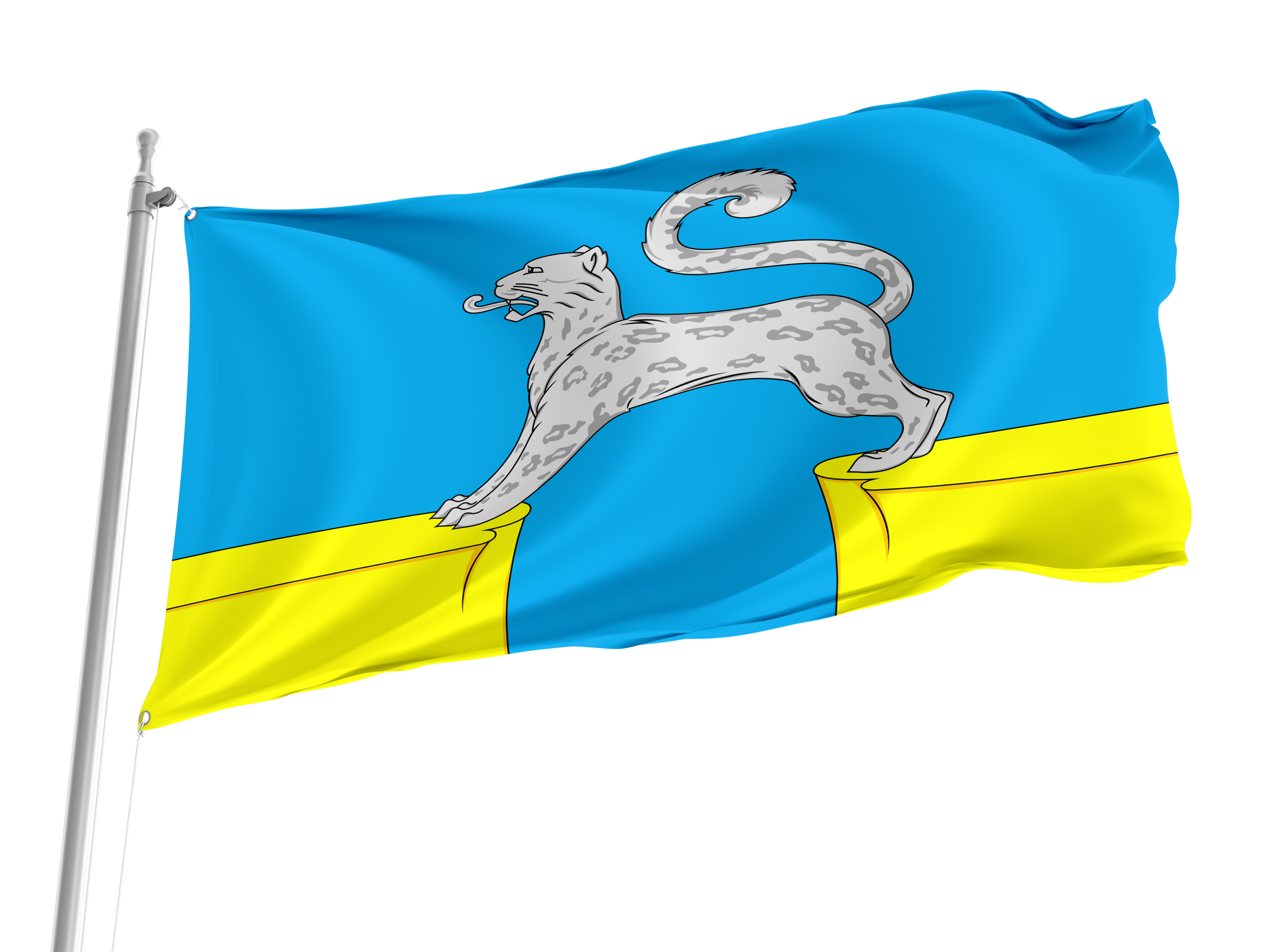 Barsovo Flag for Indoor & Outdoor Use