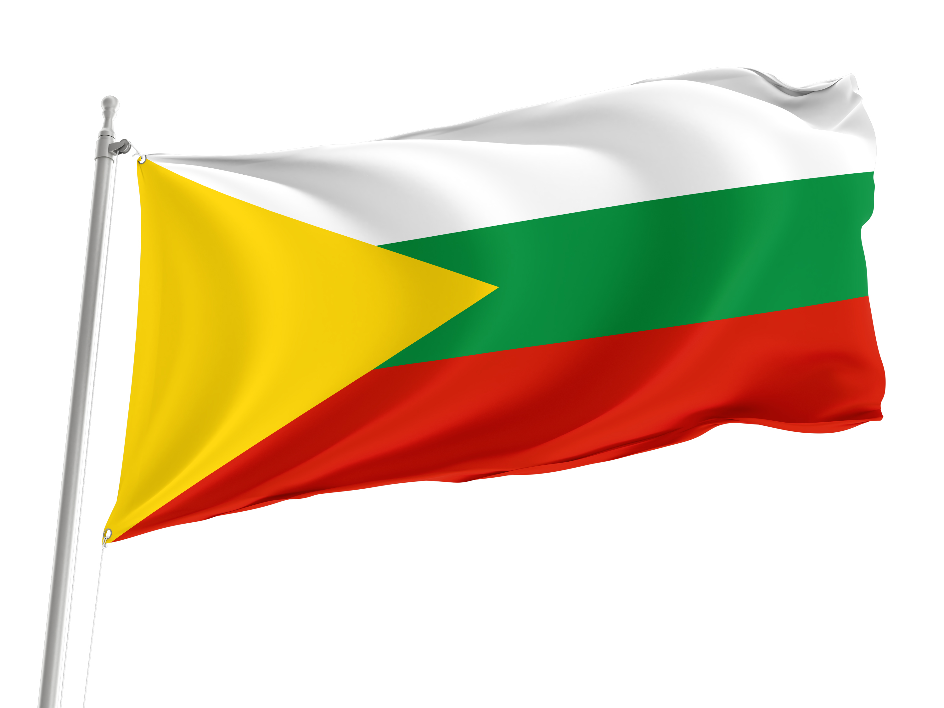 Chitinsky Flag for Indoor & Outdoor Use