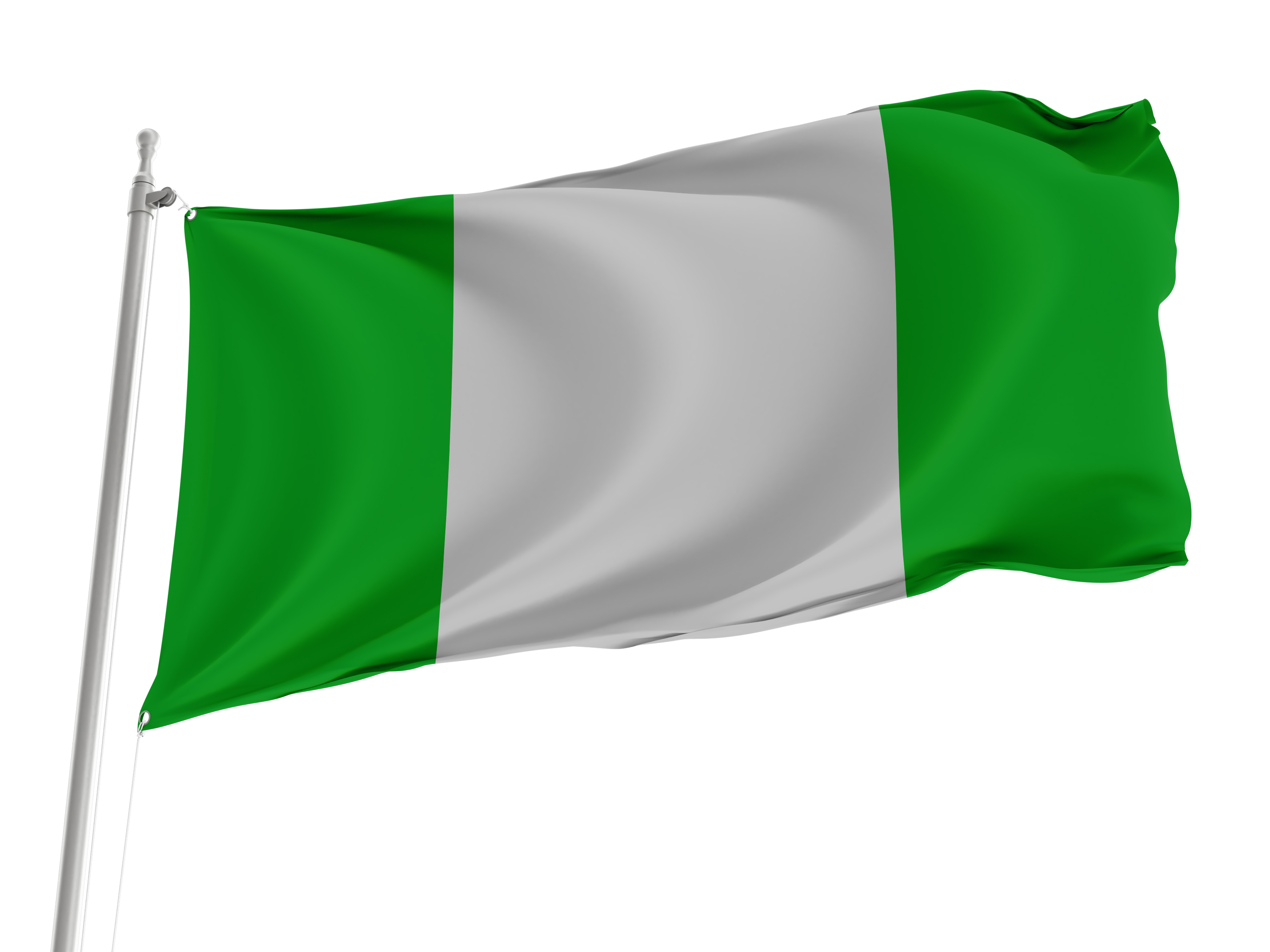 Demidovsky Rayon Flag for Indoor & Outdoor Use