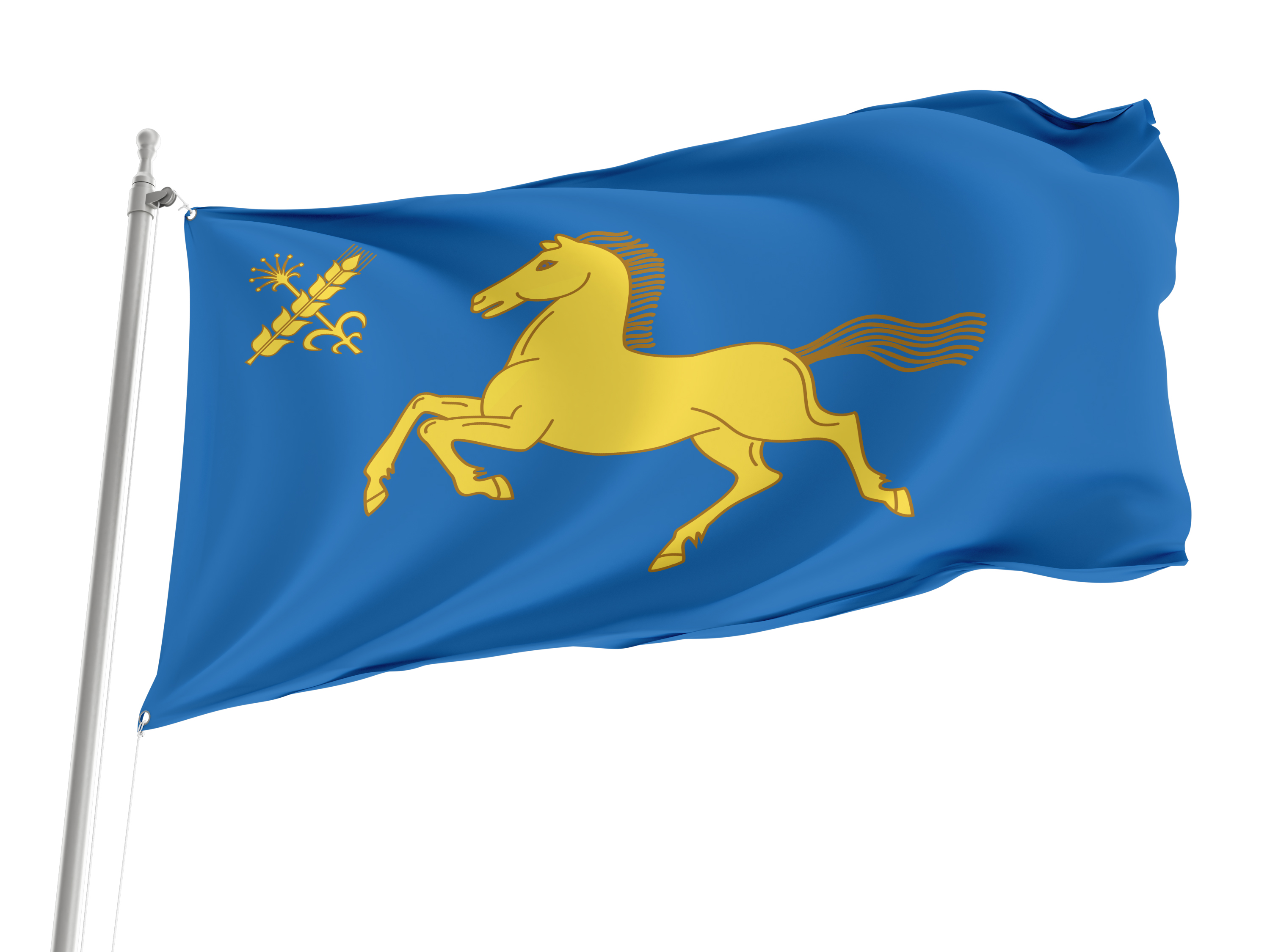 Duvansky Rayon Flag for Indoor & Outdoor Use