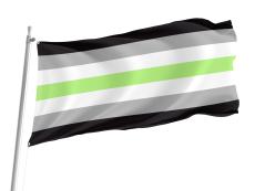 Agender, Pride Flag for Indoor & Outdoor Use