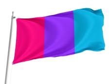 Androgyne LGBTQIA Flag for Indoor & Outdoor Use