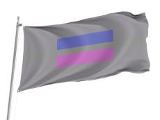 Androgynous Pride Flag LGBTQ Flag for Indoor & Outdoor Use