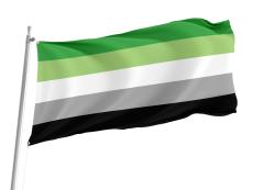 Aromantic Pride Flag for Indoor & Outdoor Use