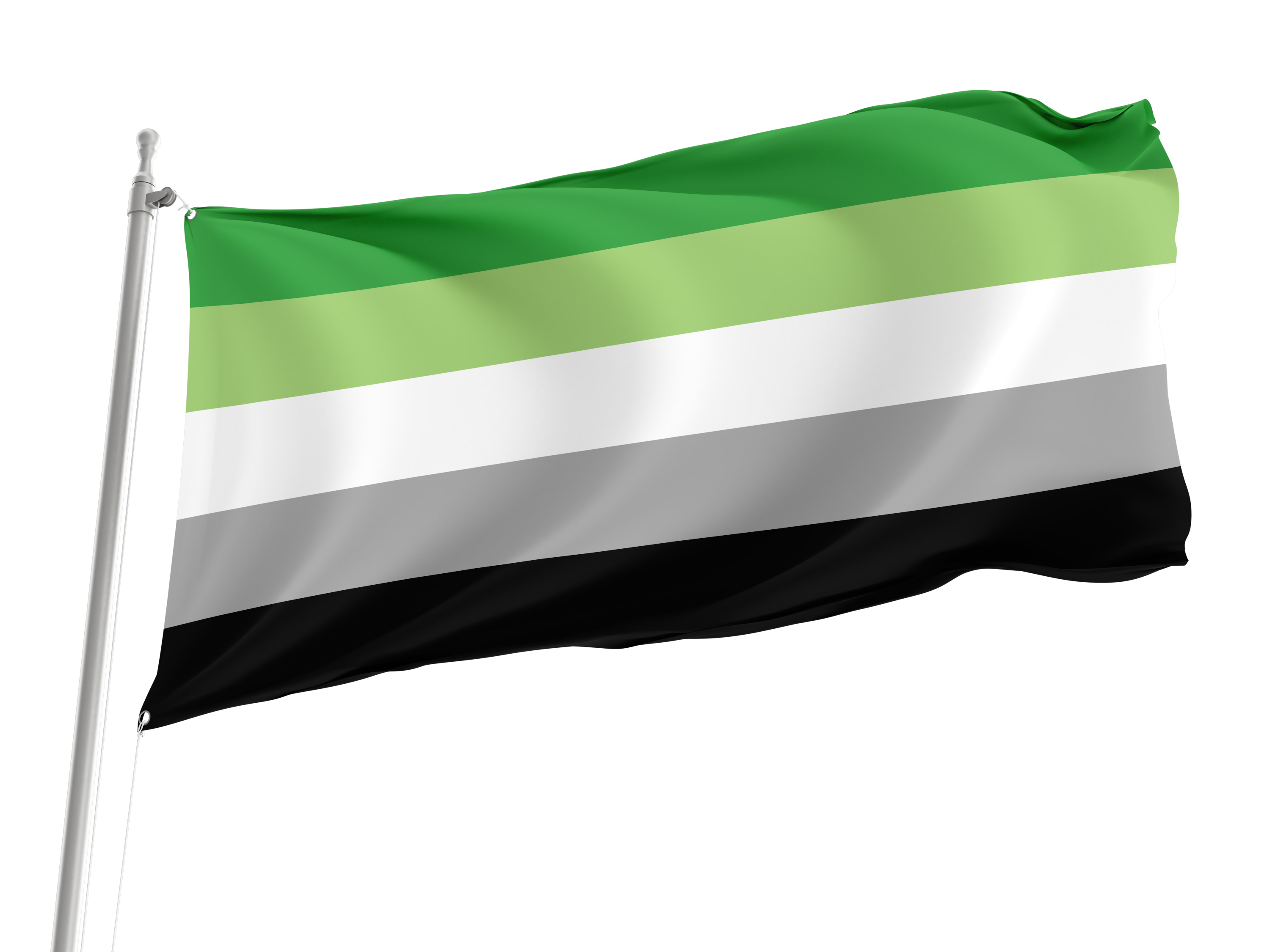 Aromantic Pride Flag for Indoor & Outdoor Use