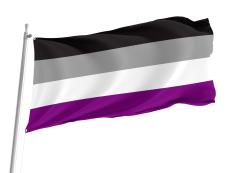 Asexuality Flag for Indoor & Outdoor Use