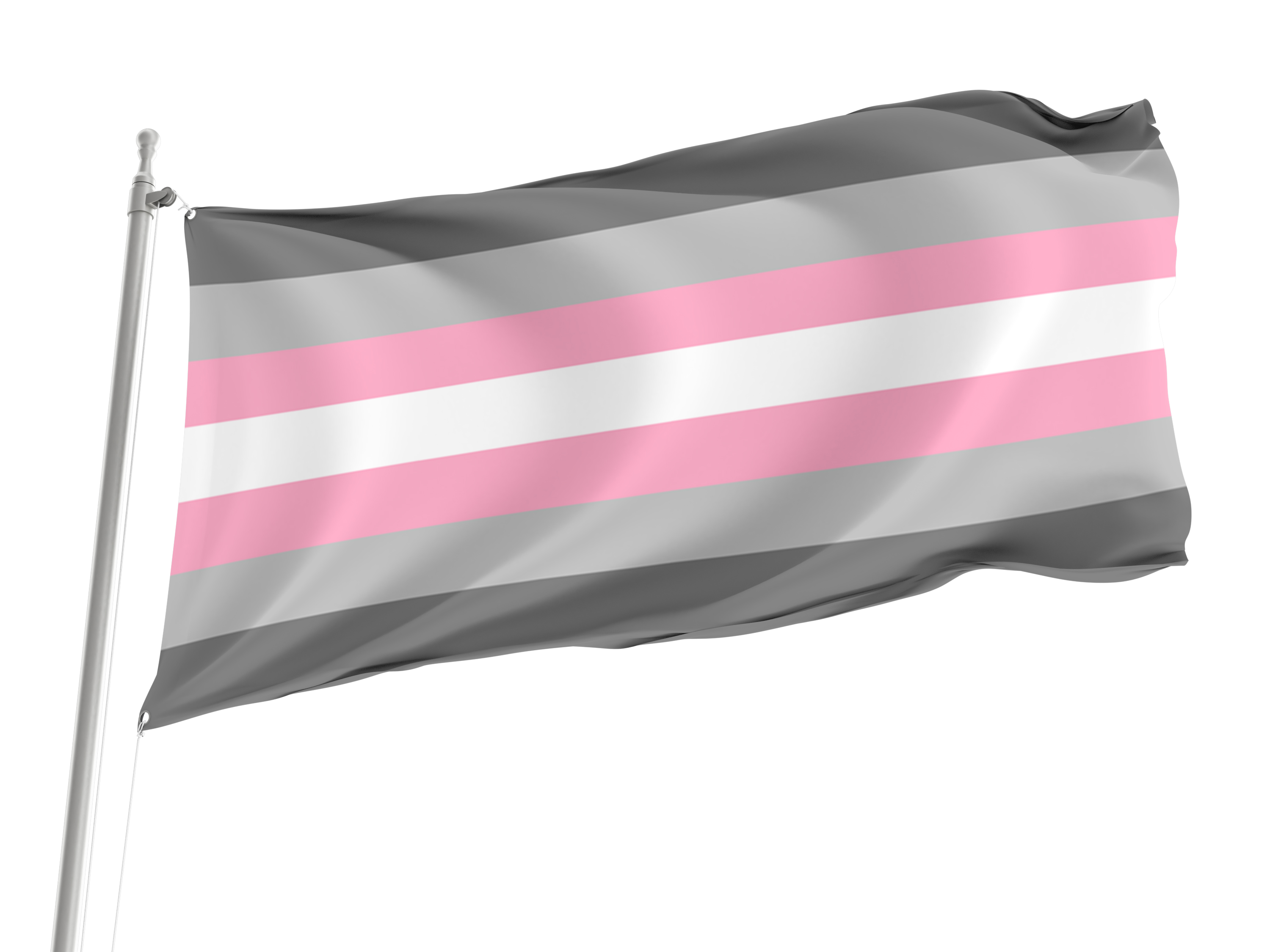Demigirl Pride Flag for Indoor & Outdoor Use