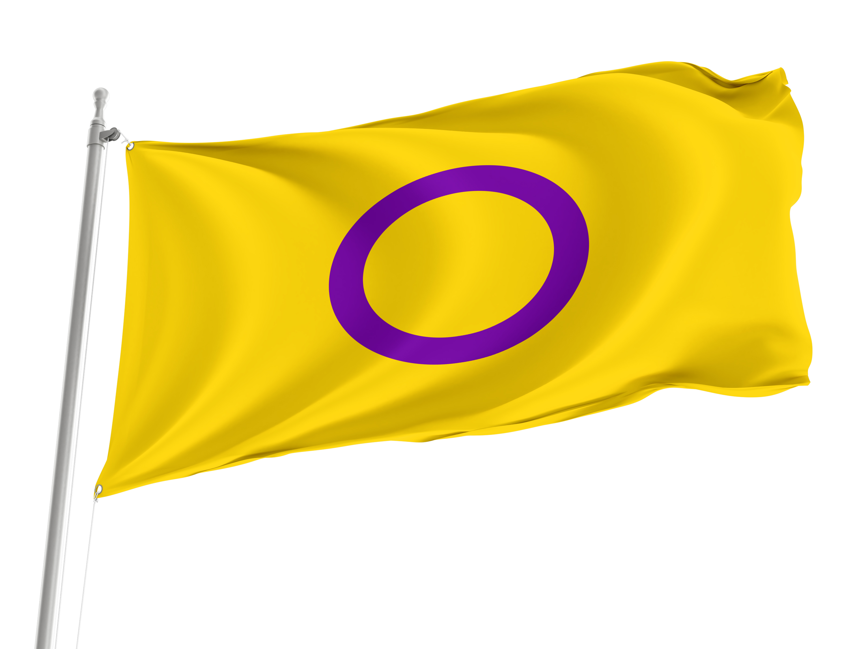 Intersex Flag for Indoor & Outdoor Use