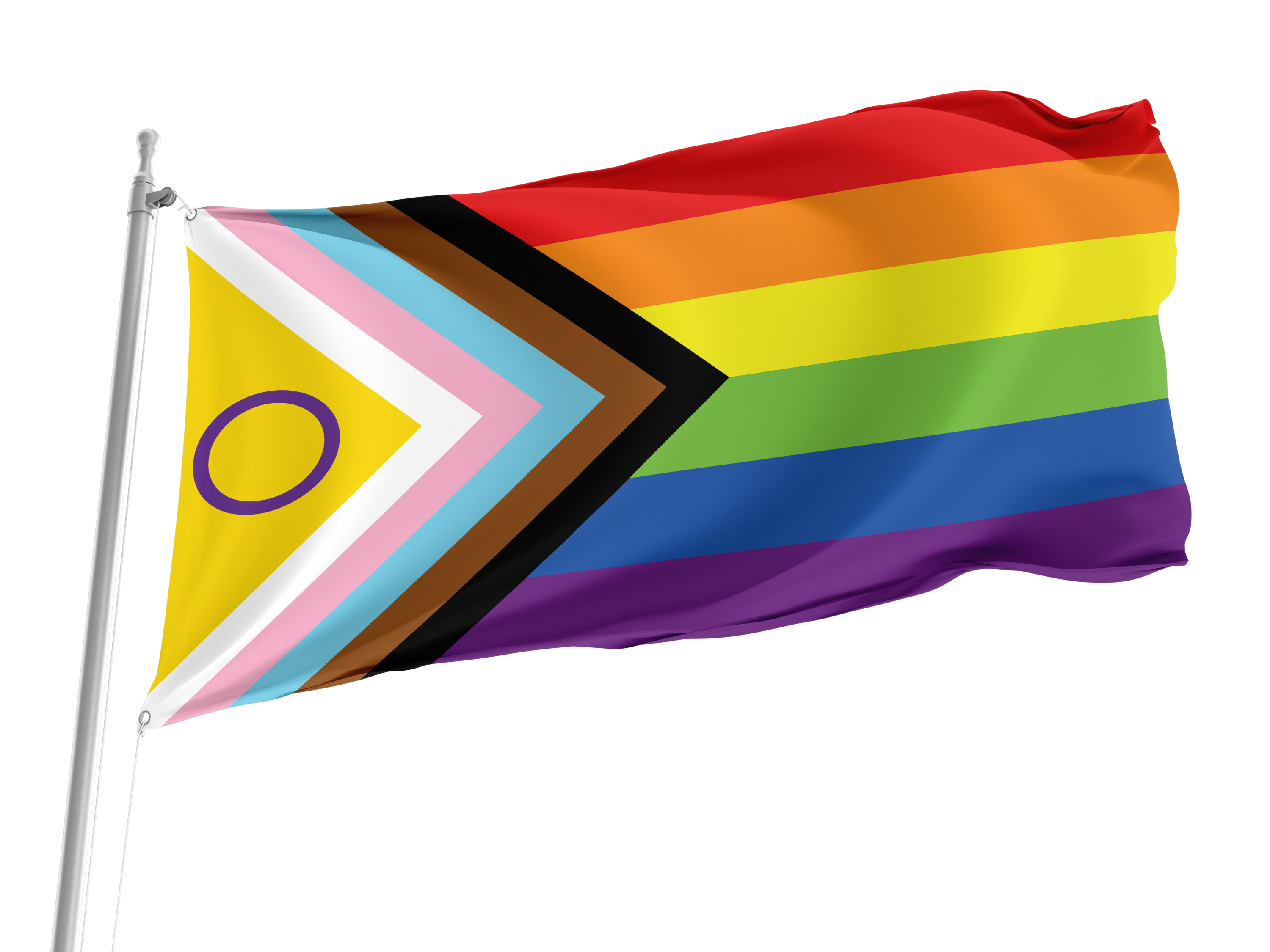 Intersex Inclusive Pride Flag for Indoor & Outdoor Use