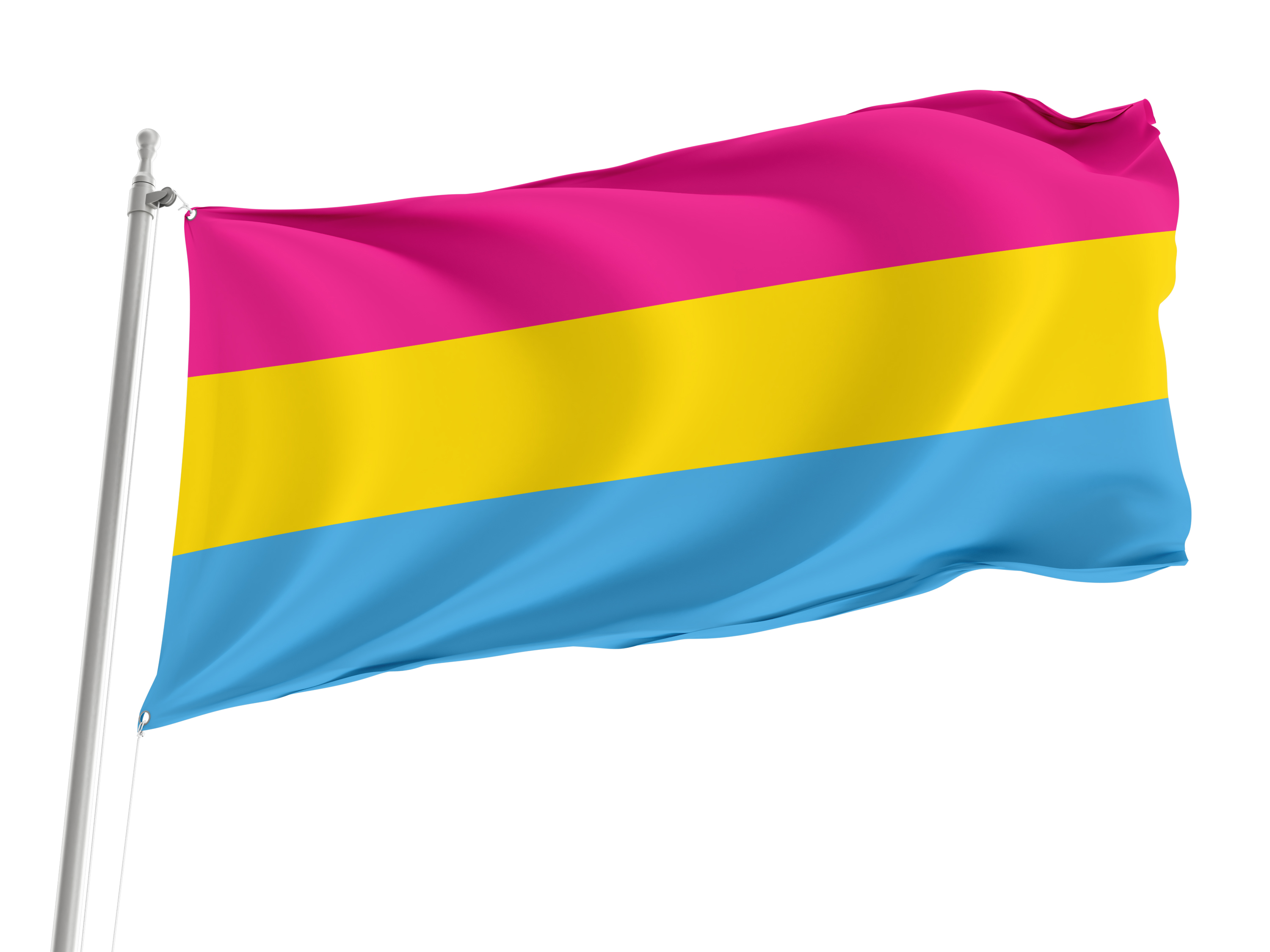 Pansexual Pride Flag for Indoor & Outdoor Use