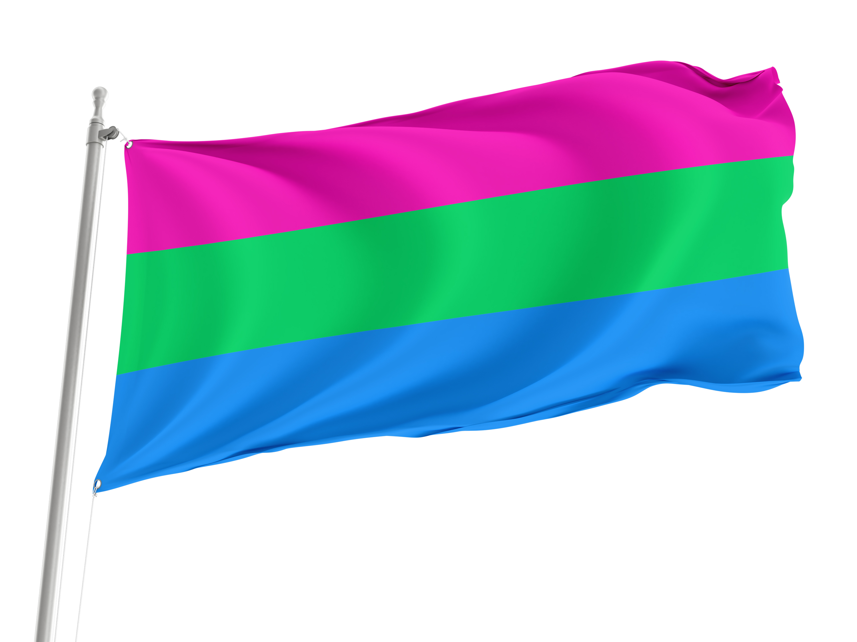 Polysexual Flag for Indoor & Outdoor Use