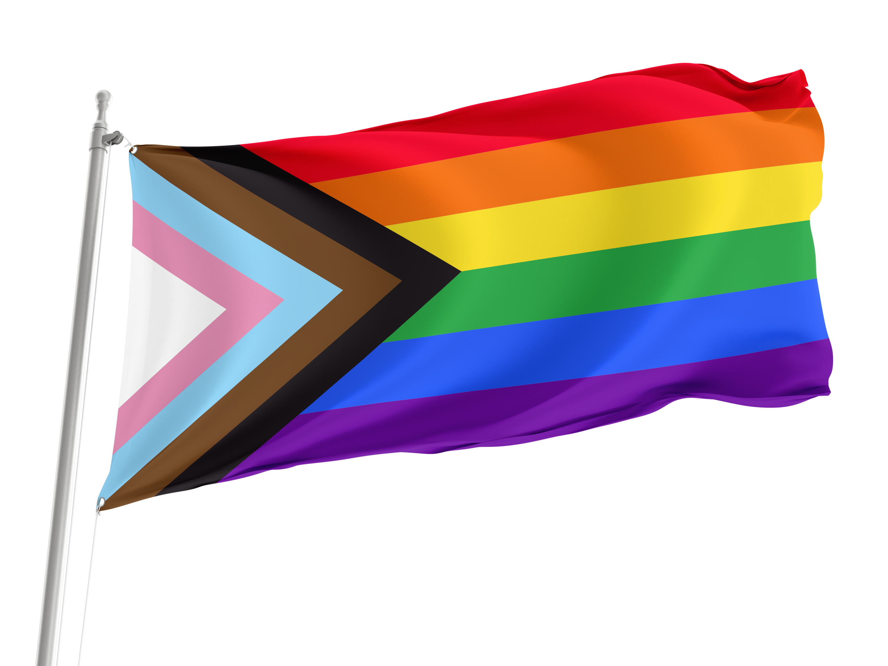 Progress Pride Flag for Indoor & Outdoor Use