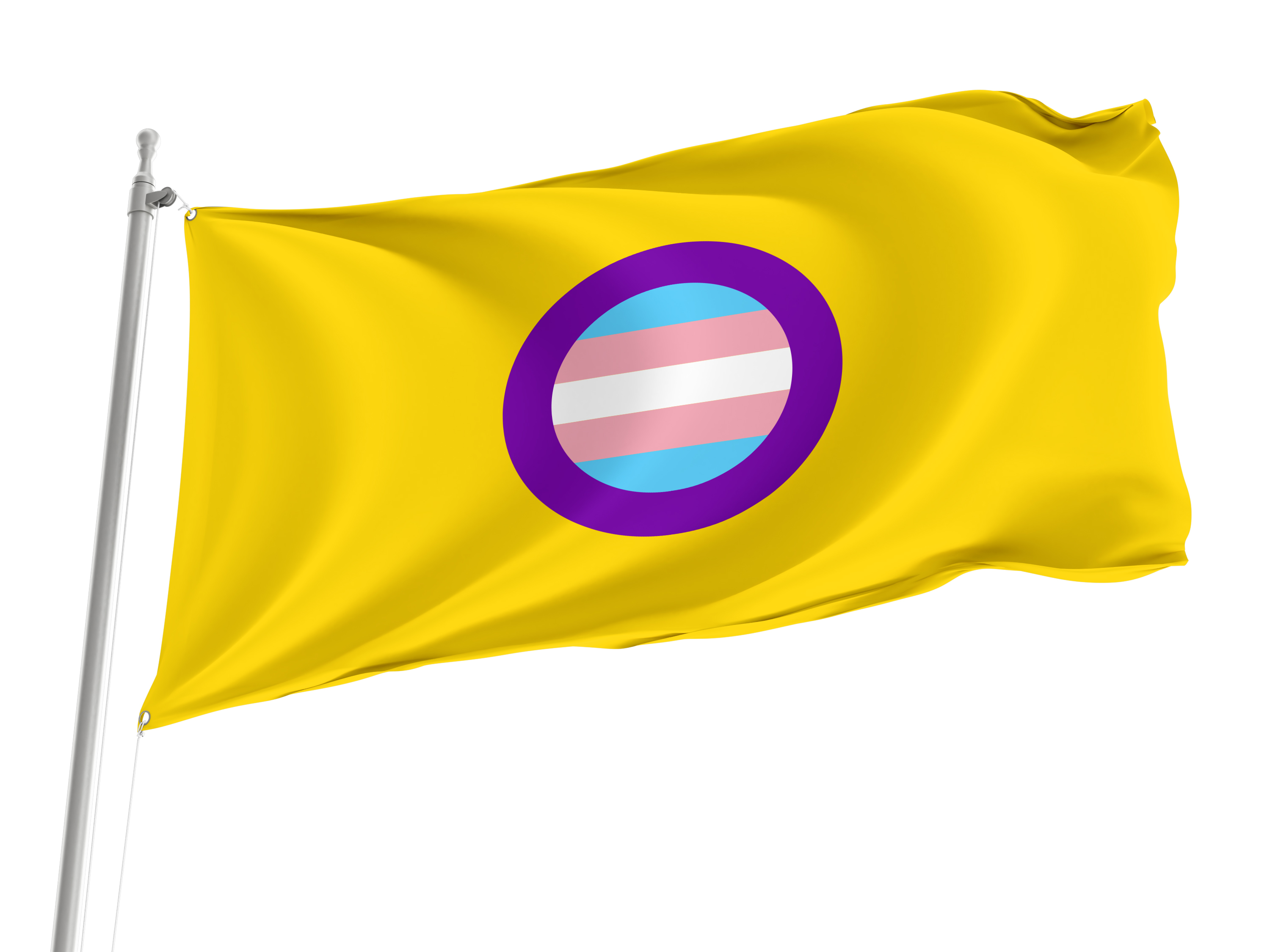 Trans Intersex Pride Flag for Indoor & Outdoor Use
