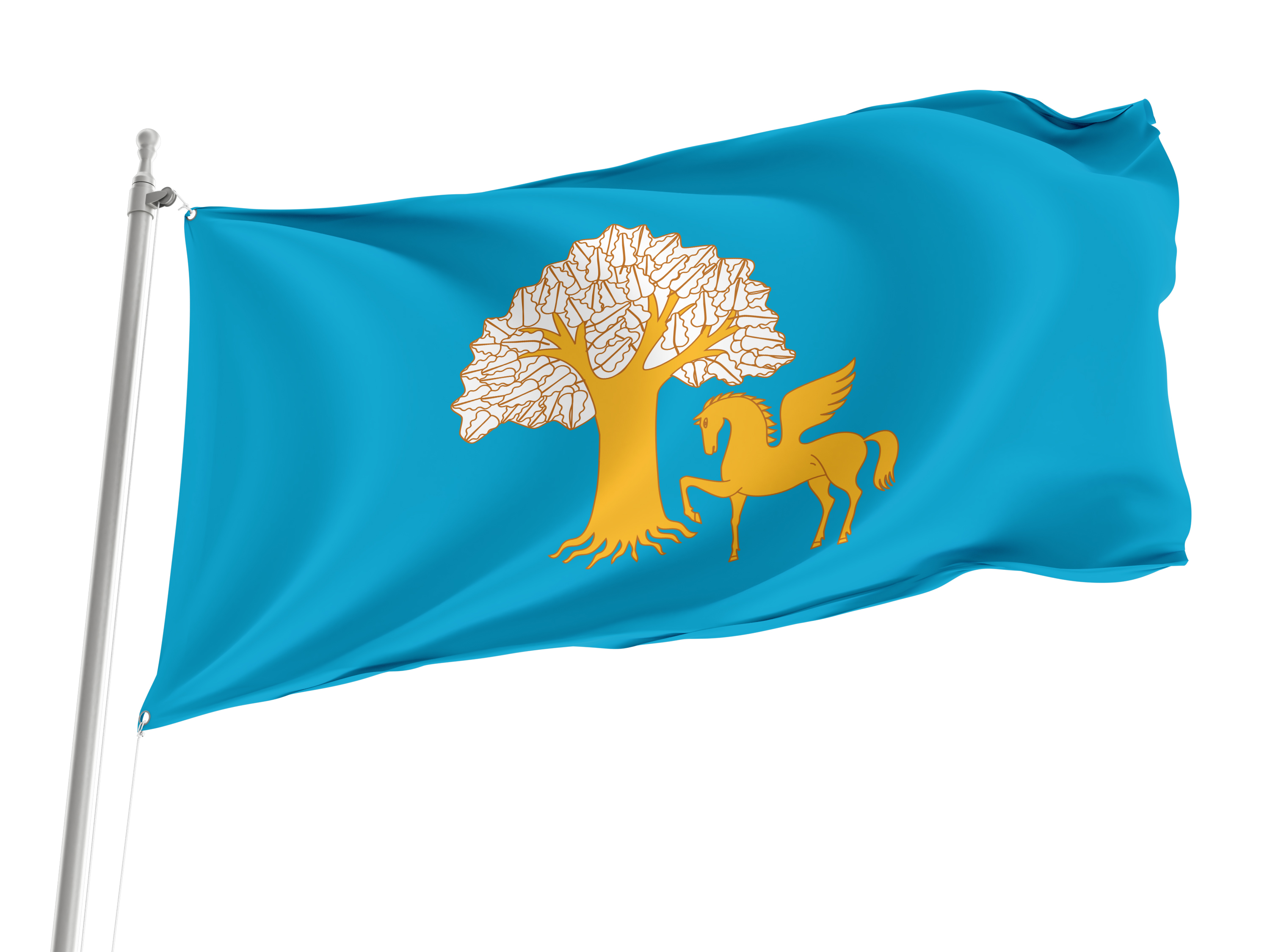 Kiginsky District Flag for Indoor & Outdoor Use