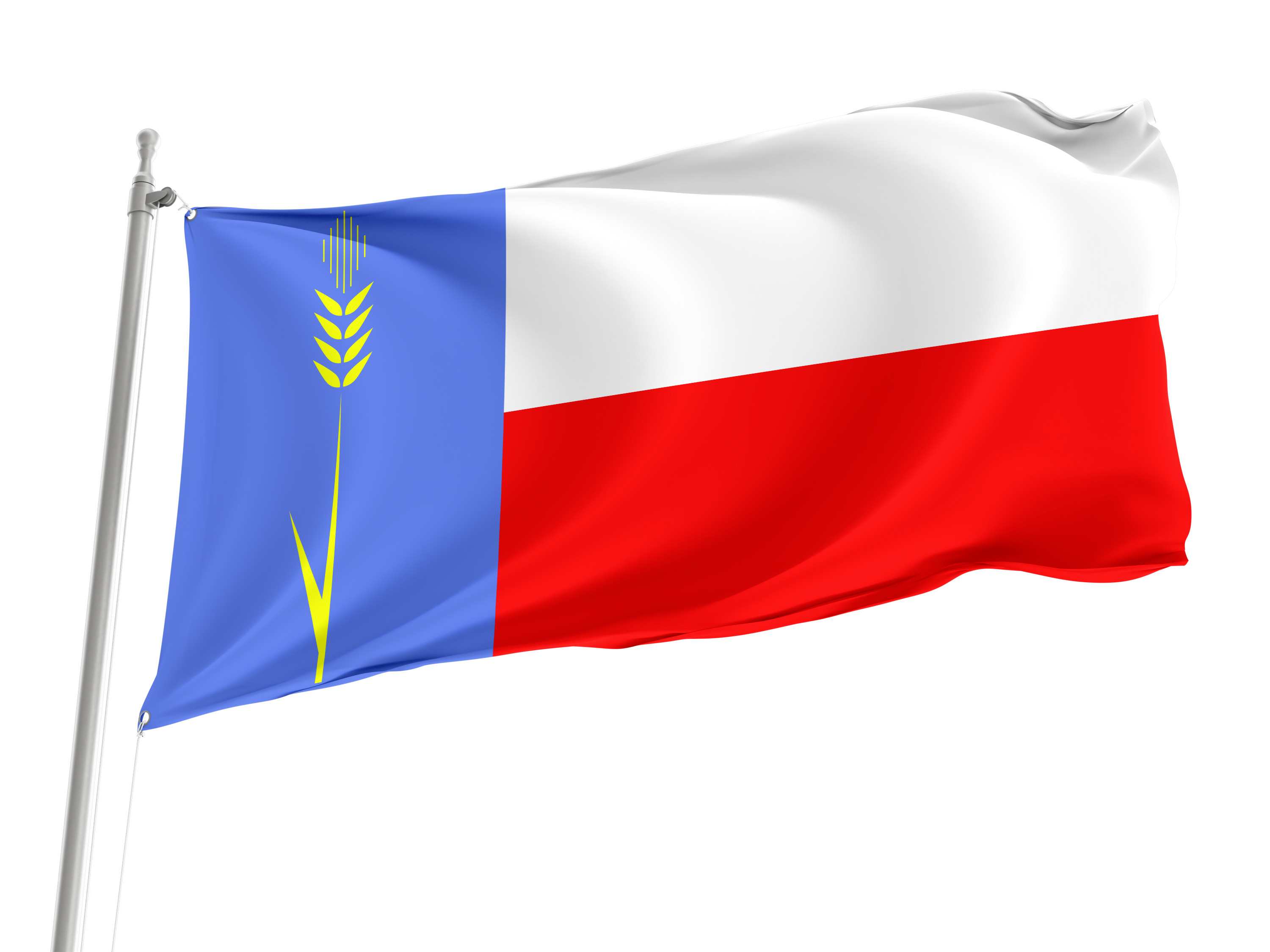 Klintsovsky District Flag for Indoor & Outdoor Use