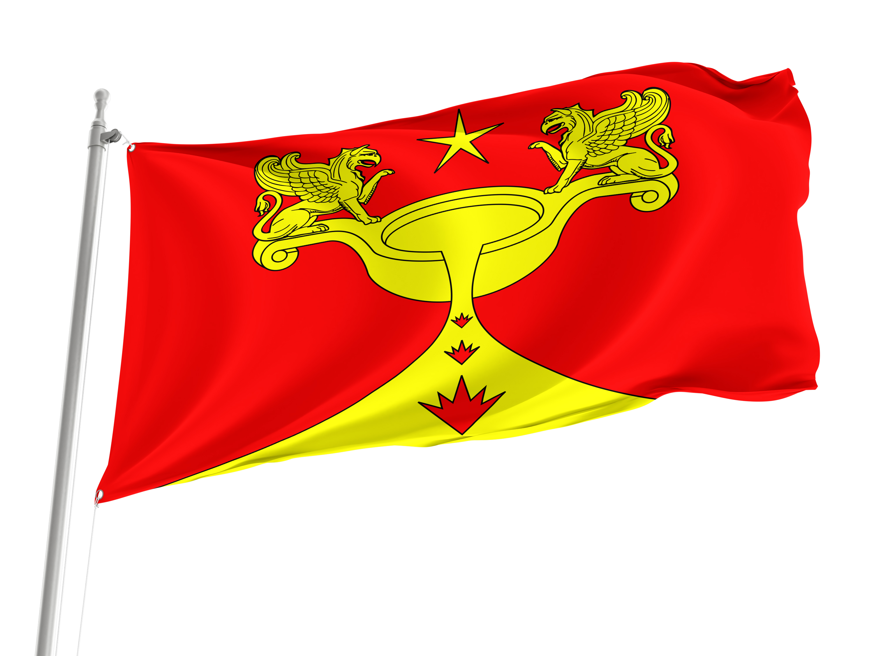 Melallostroy Flag for Indoor & Outdoor Use