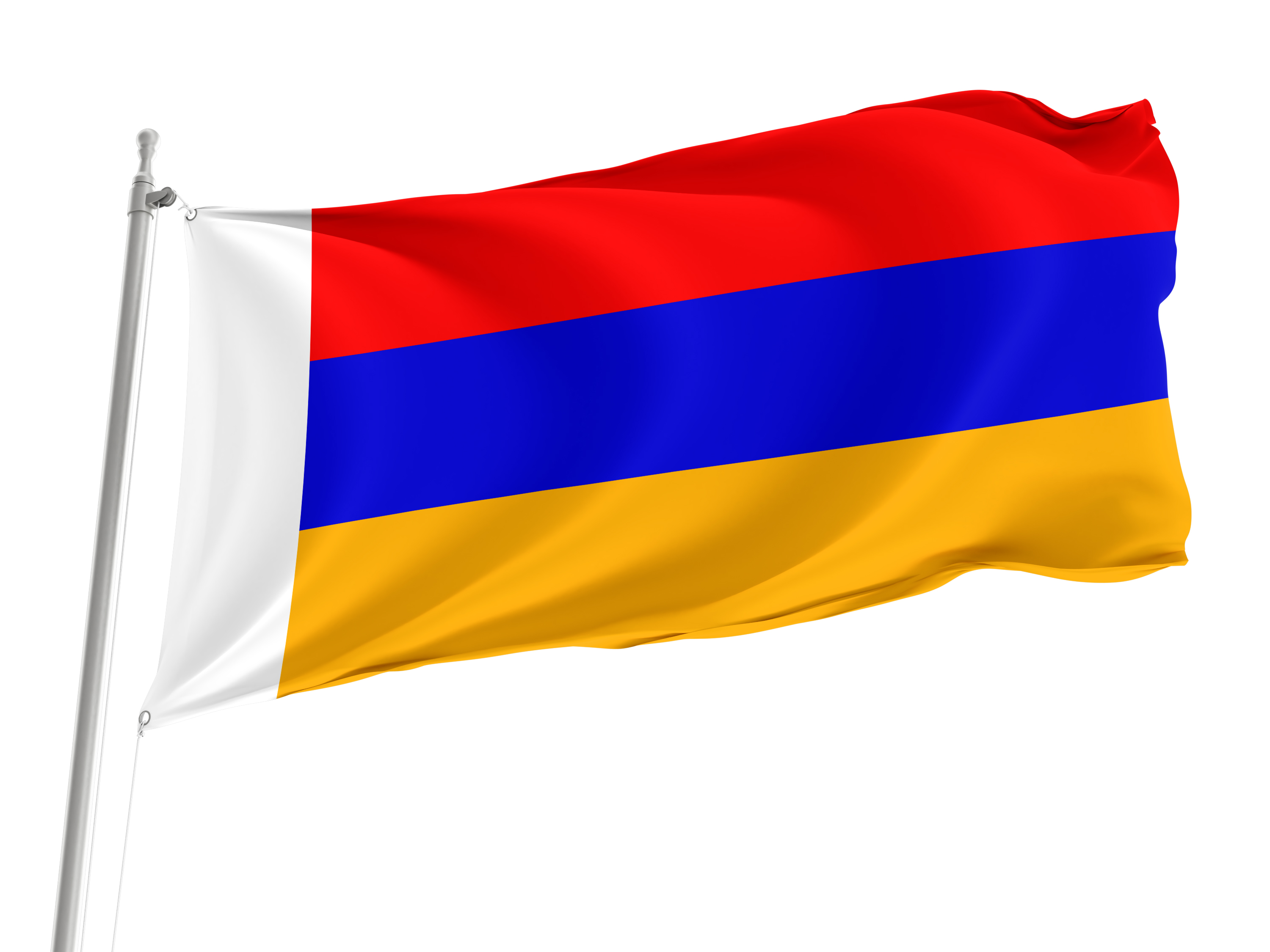 Myasnikovsky District Flag for Indoor & Outdoor Use