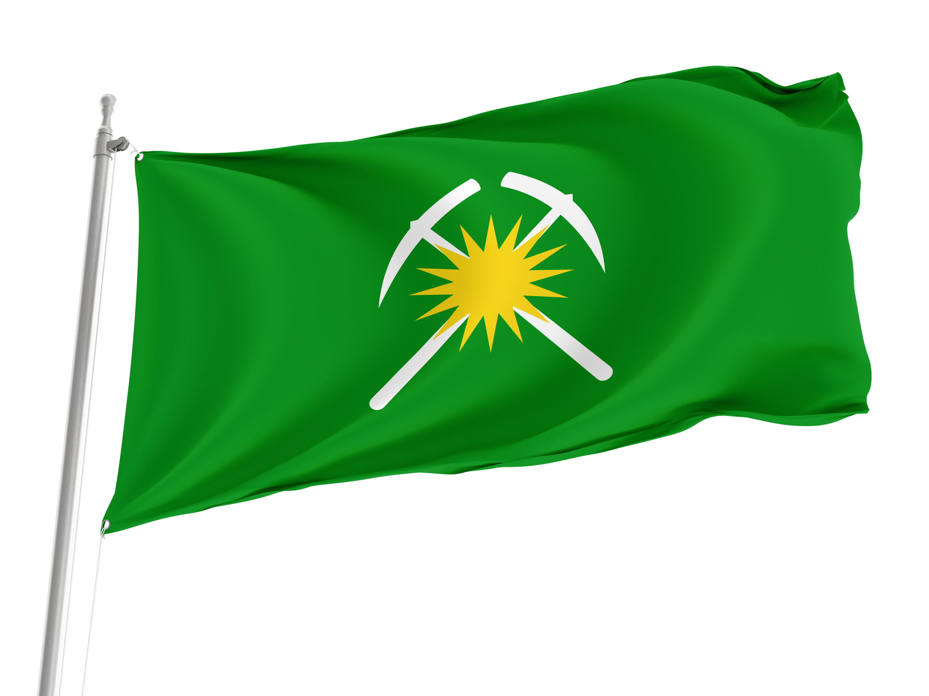 Raychikhinsk Flag for Indoor & Outdoor Use
