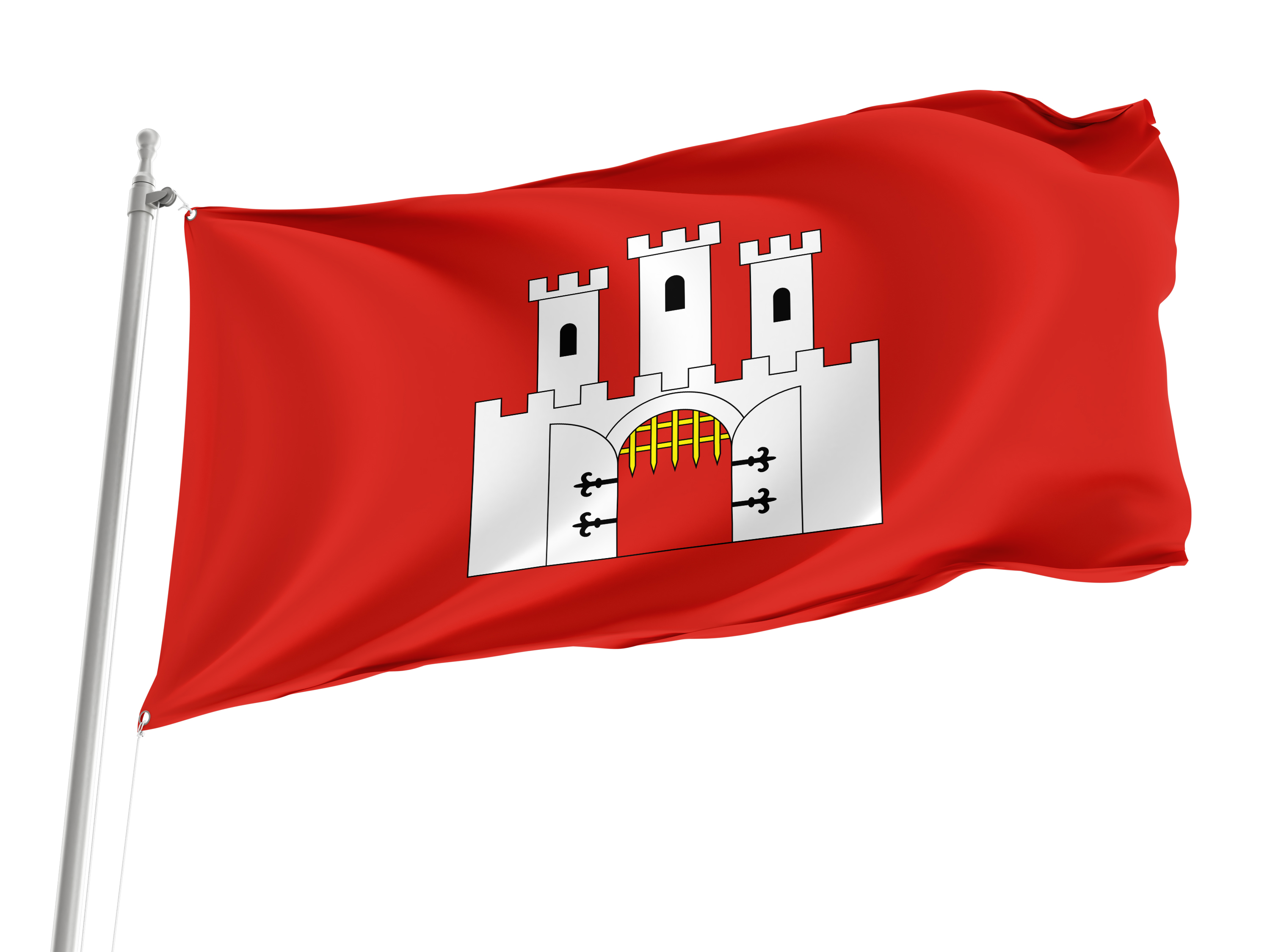 Checiny Flag for Indoor & Outdoor Use