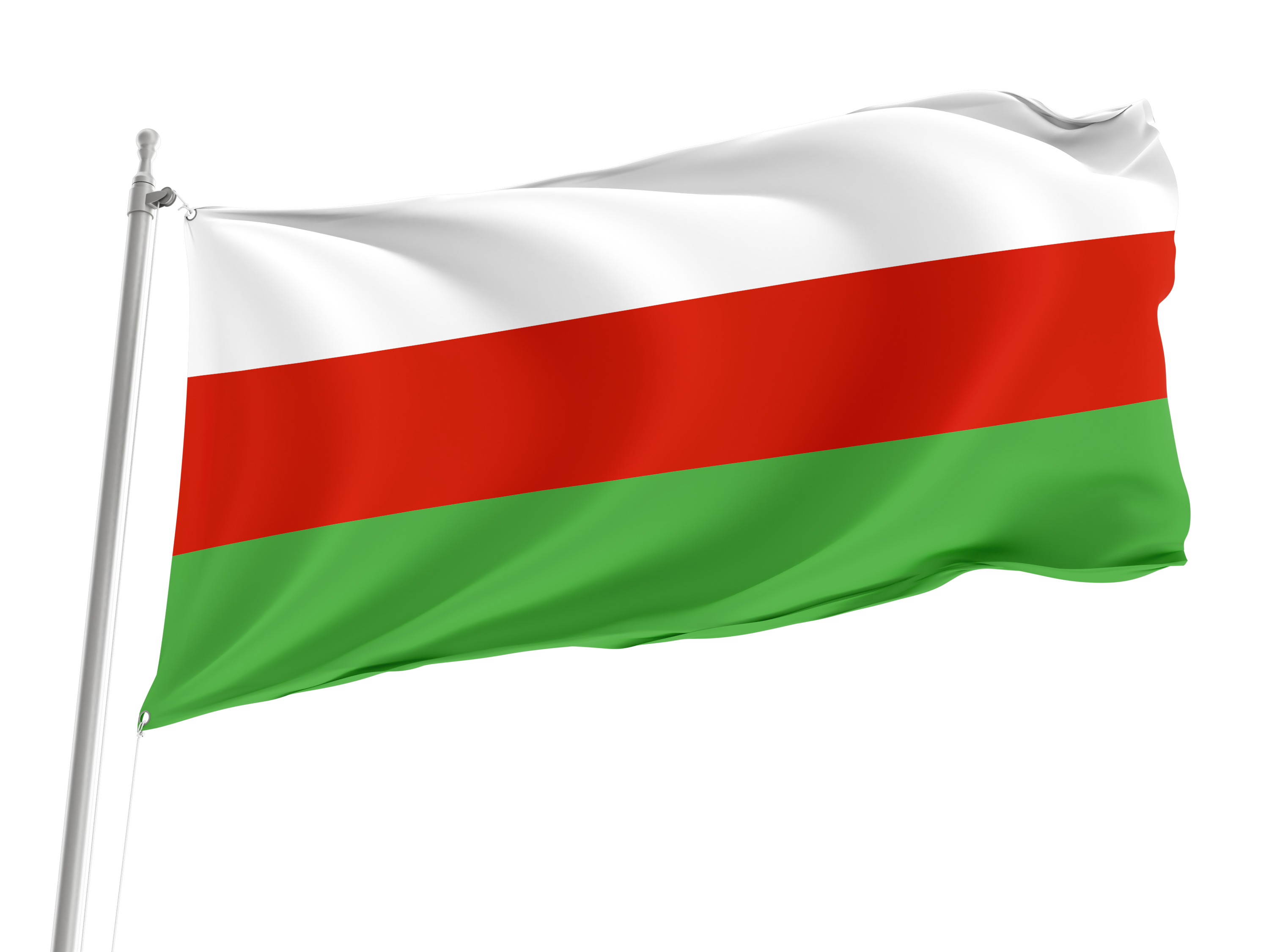 Wielen Flag for Indoor & Outdoor Use