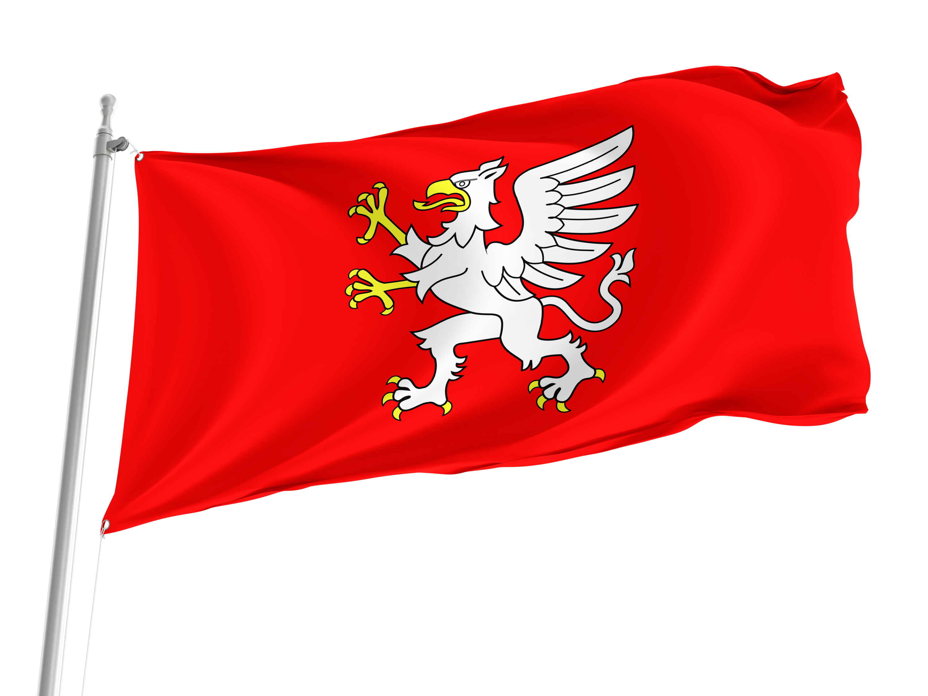 Debica Flag for Indoor & Outdoor Use