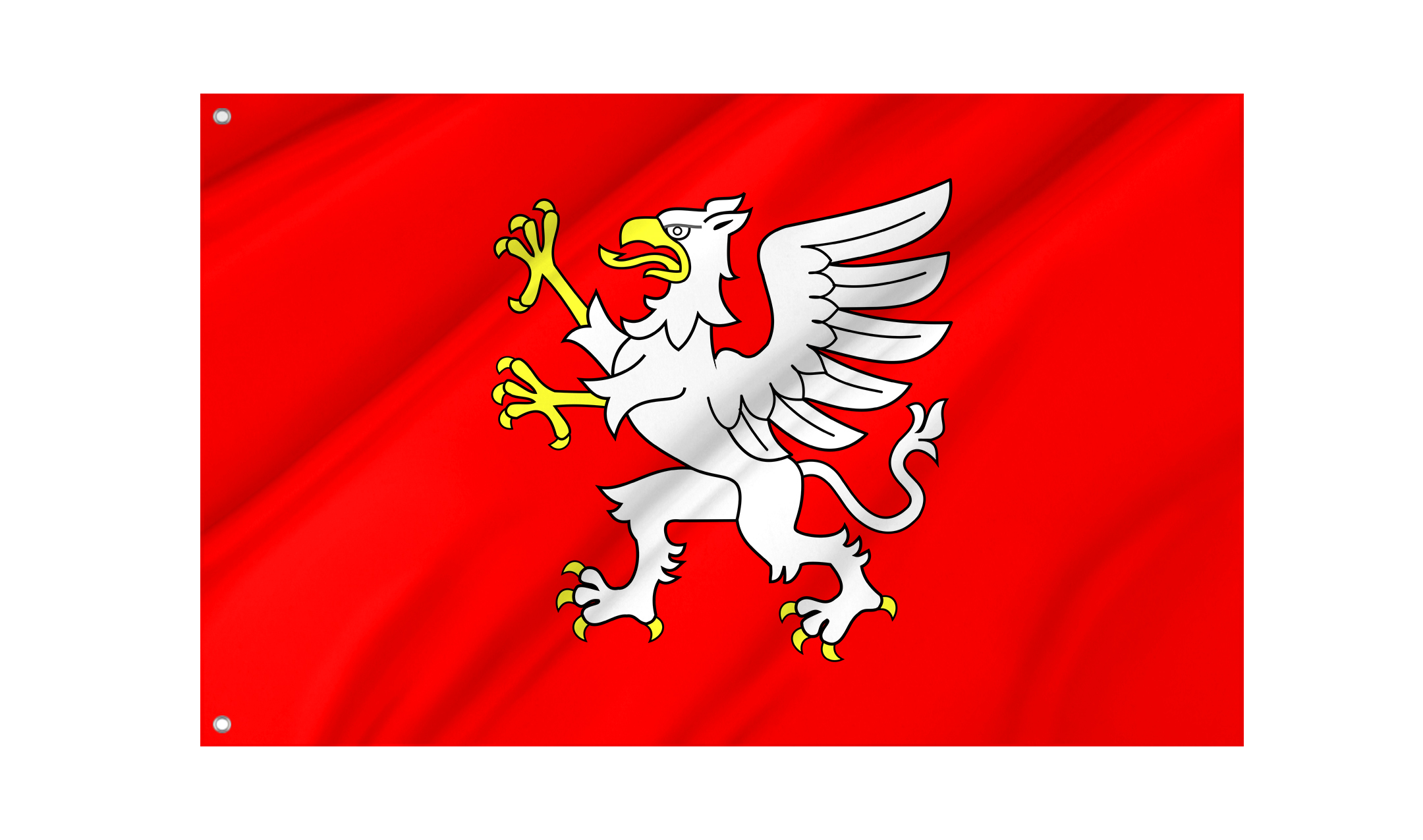 Debica Flag for Indoor & Outdoor Use