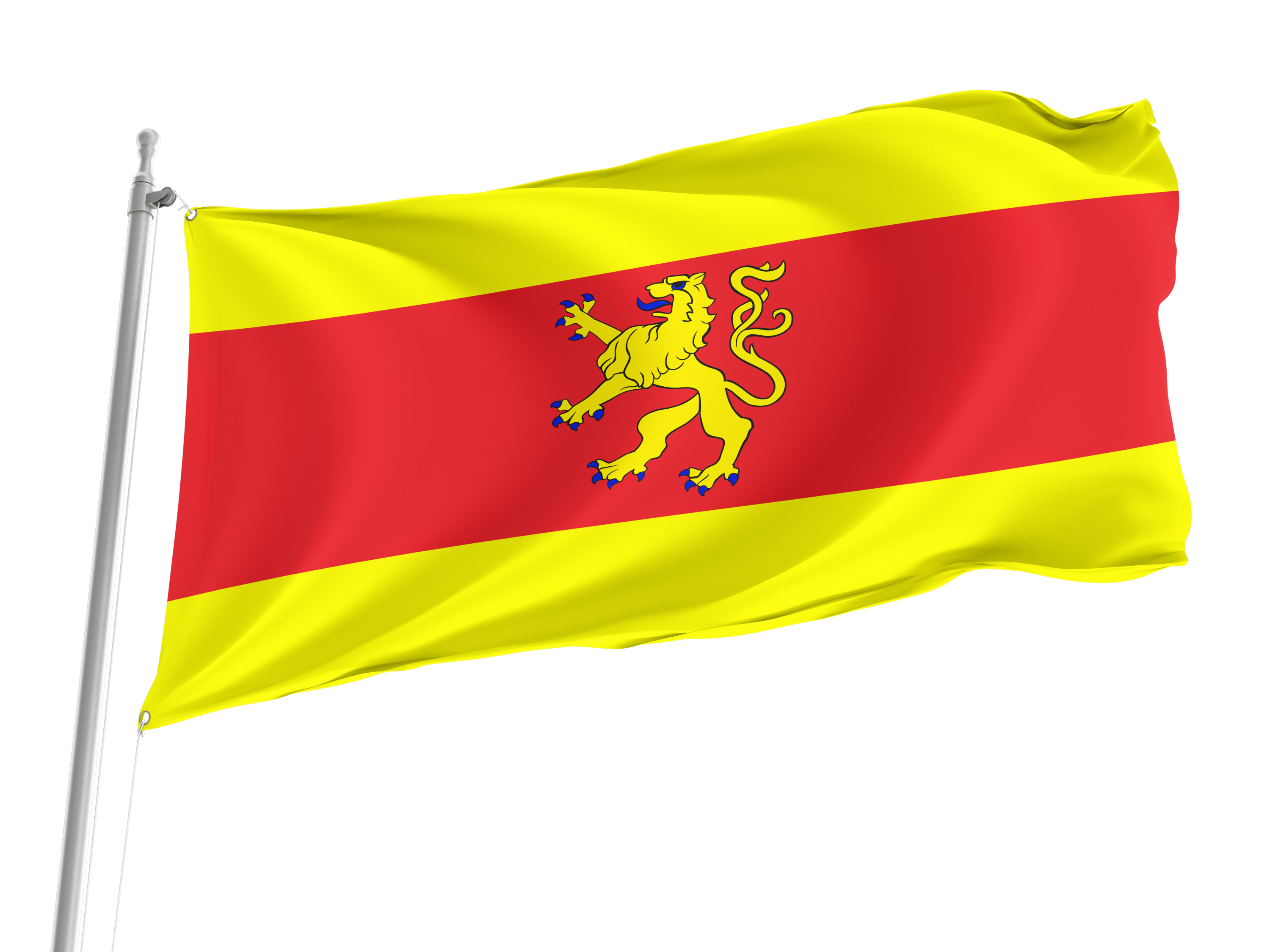 Debno Flag for Indoor & Outdoor Use