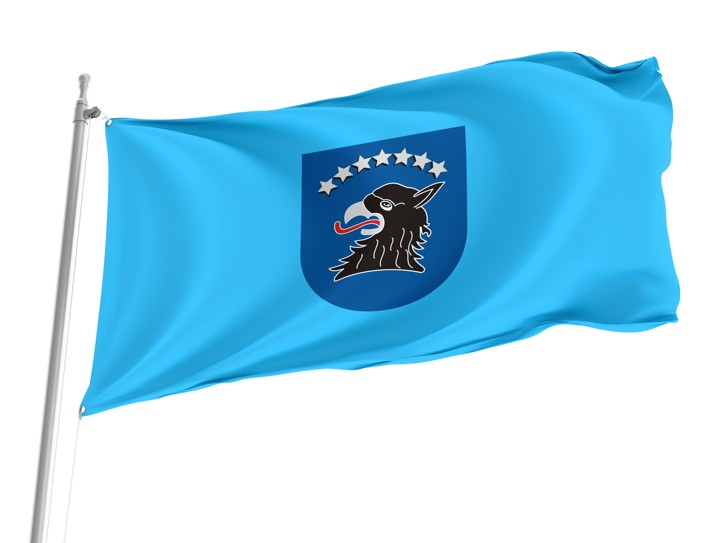 Kartuzy Flag for Indoor & Outdoor Use