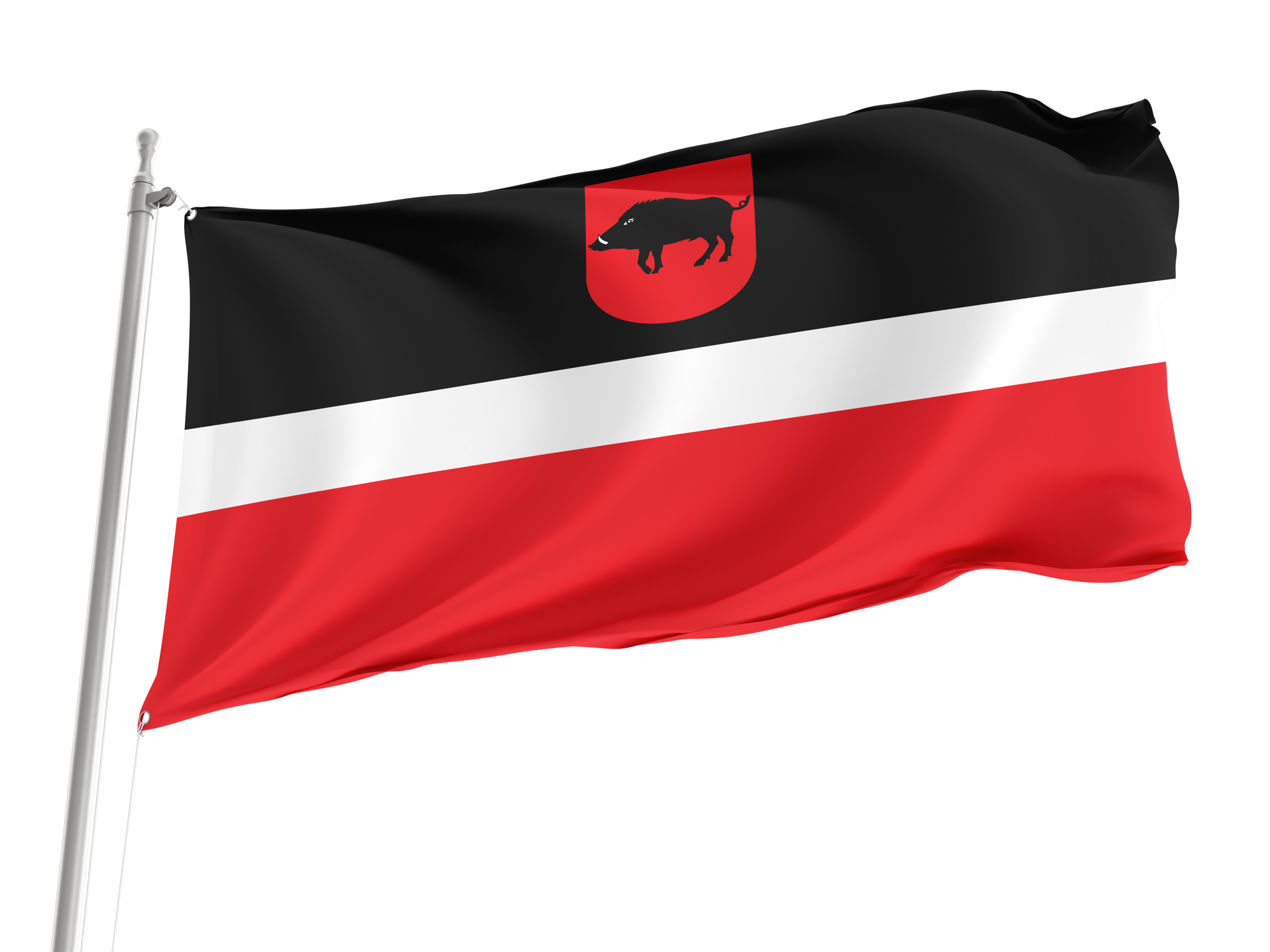 Leczna Flag for Indoor & Outdoor Use