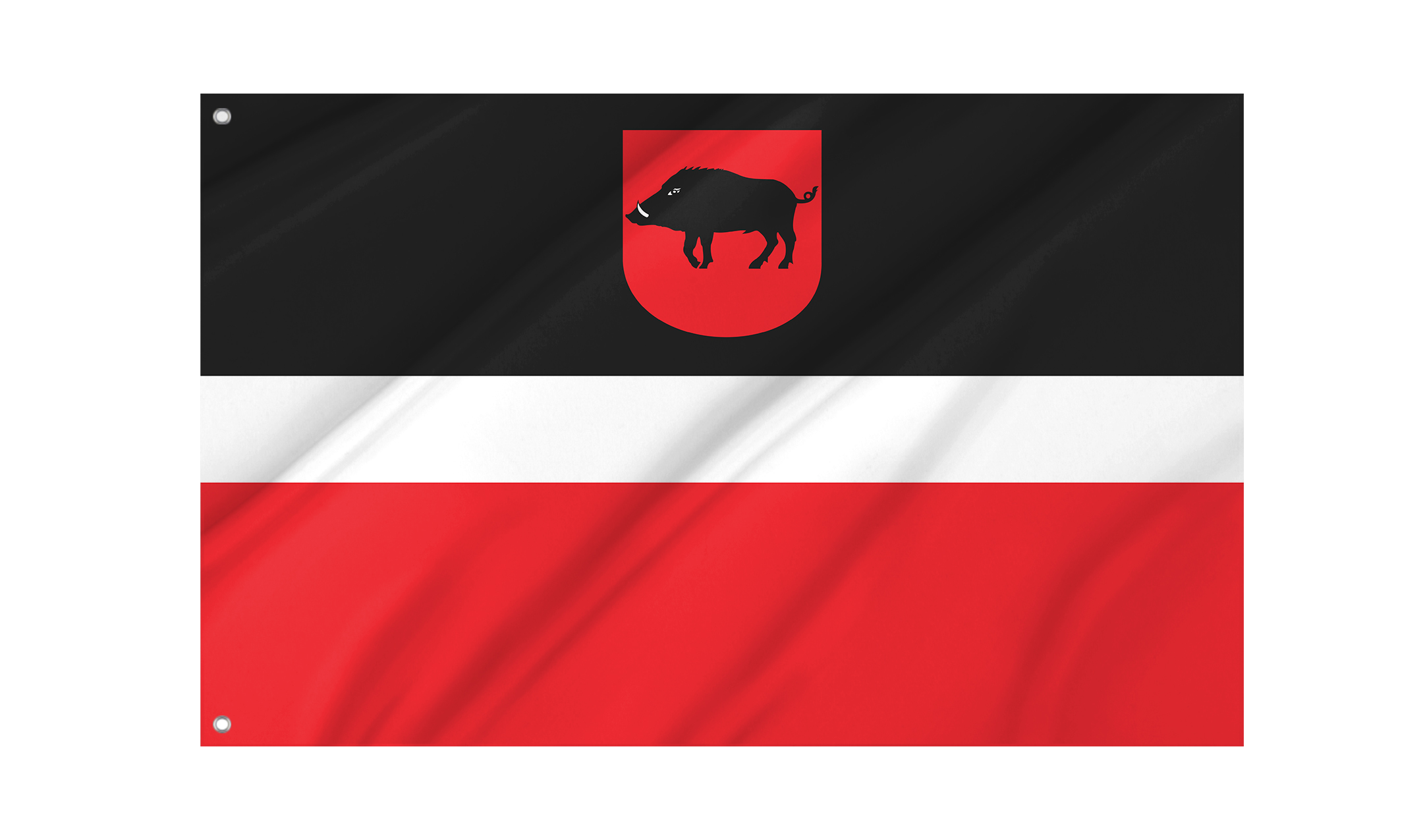 Leczna Flag for Indoor & Outdoor Use