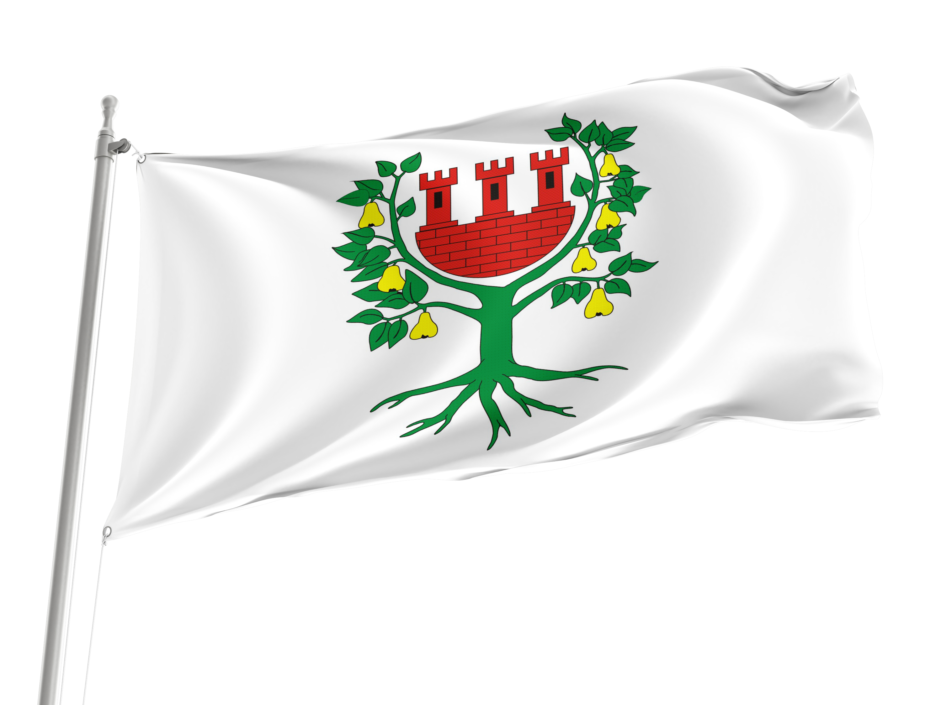Miedzychod Flag for Indoor & Outdoor Use