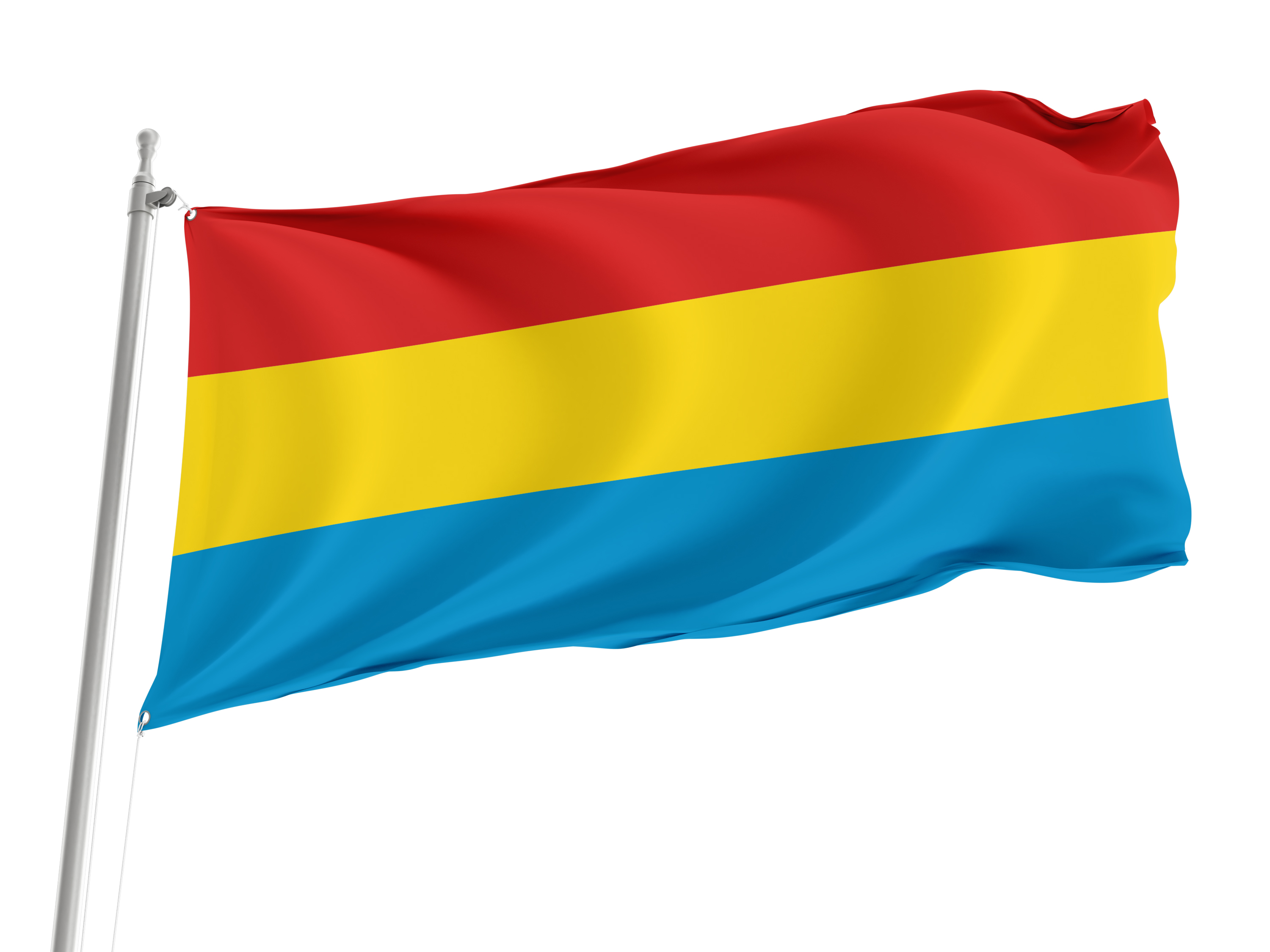 Nasielsk Flag for Indoor & Outdoor Use