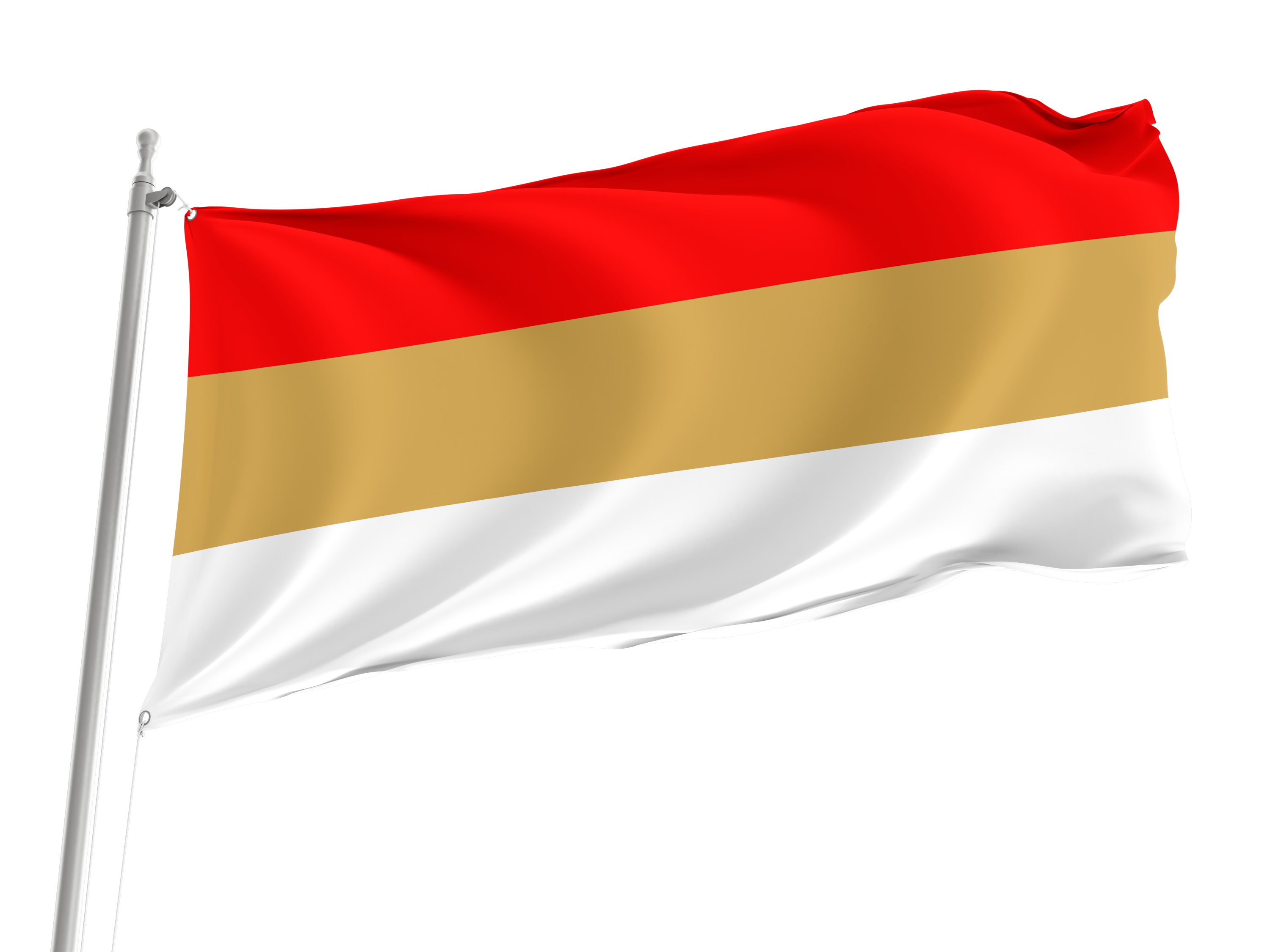 Niepolomice Flag for Indoor & Outdoor Use