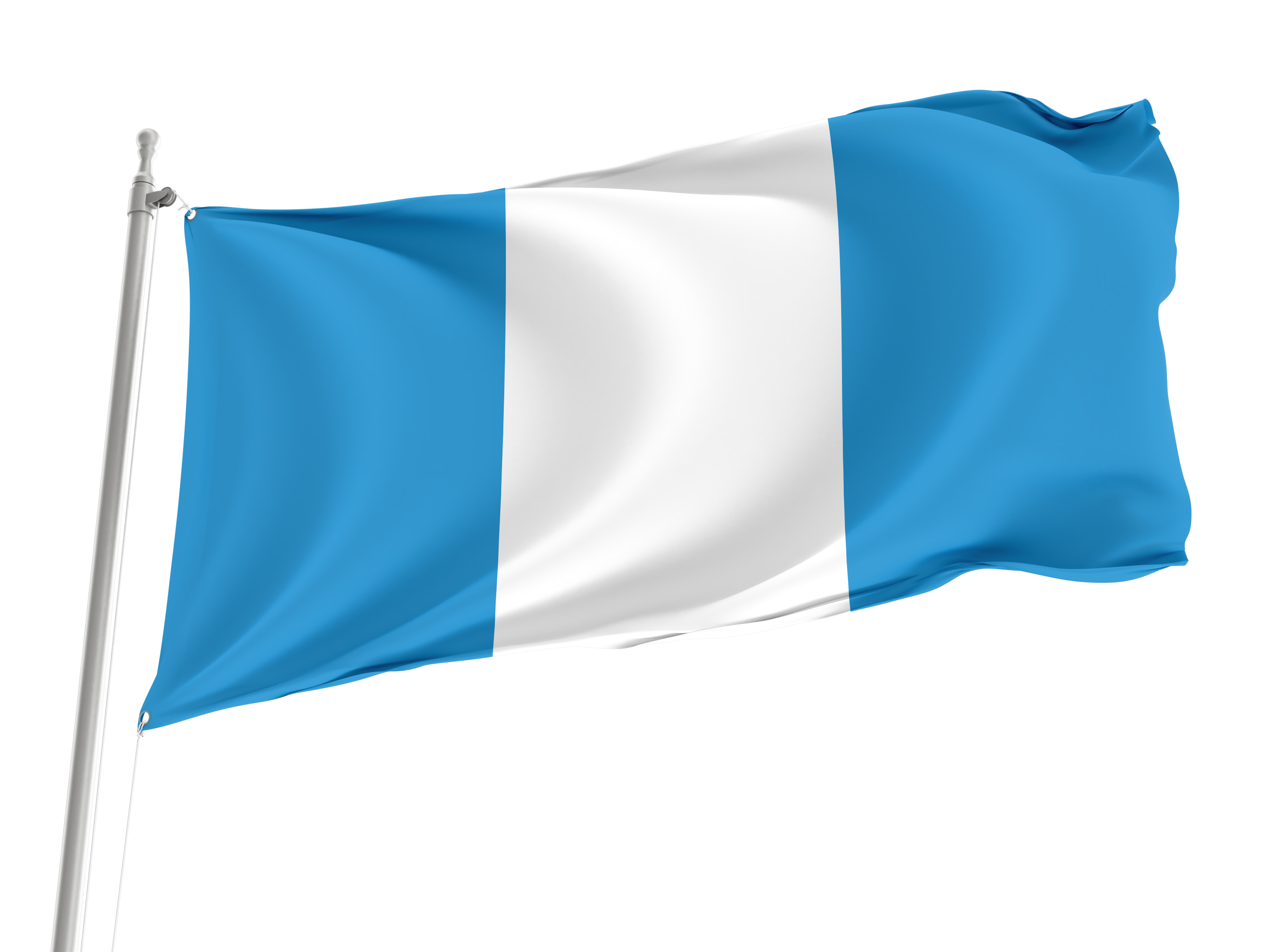 Pasym Flag for Indoor & Outdoor Use