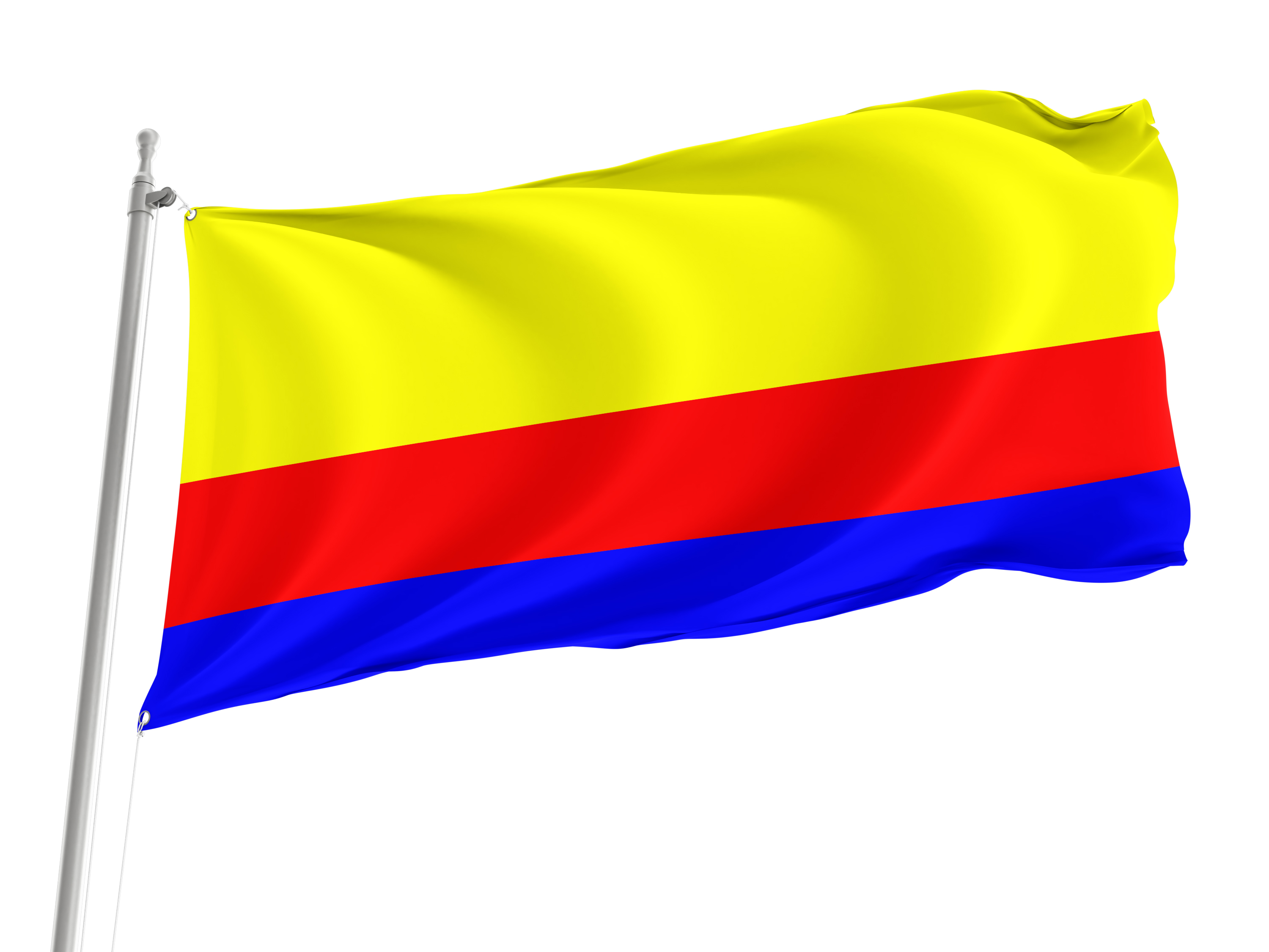 Plock Flag for Indoor & Outdoor Use