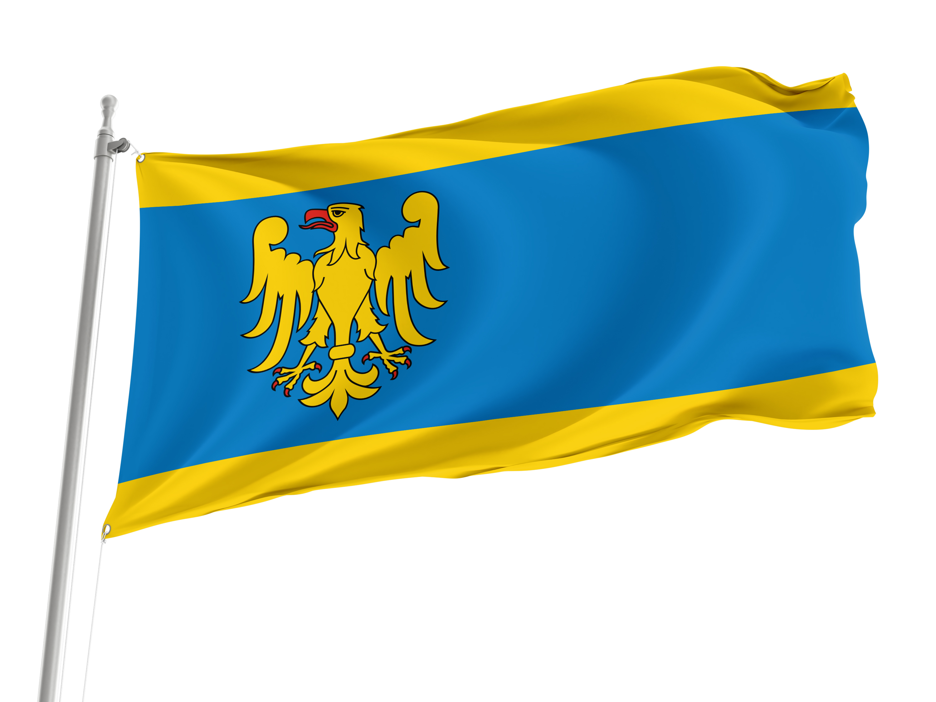 Pszczyna Flag for Indoor & Outdoor Use