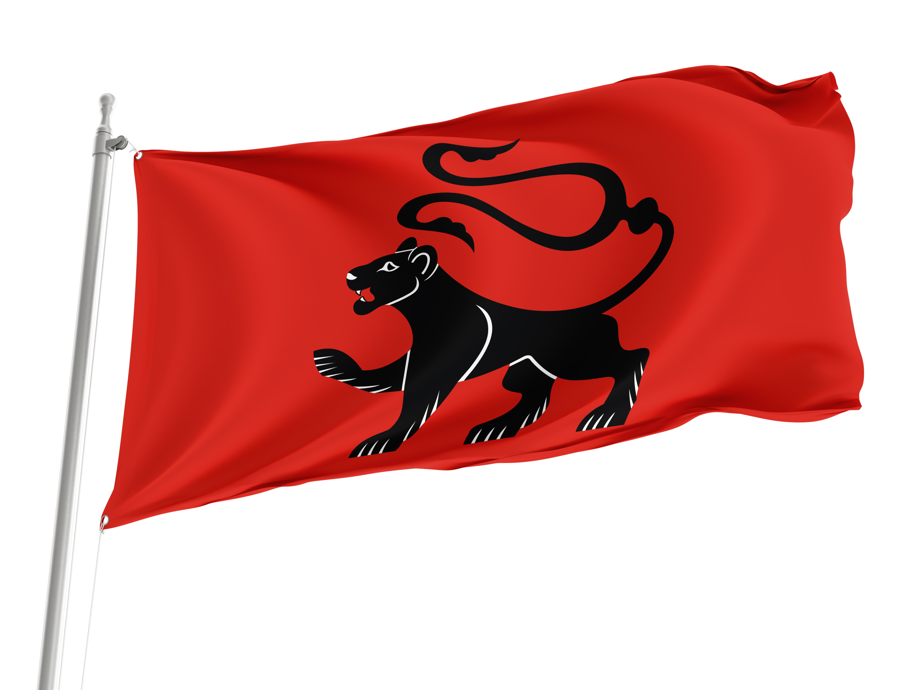 Radlow Flag for Indoor & Outdoor Use