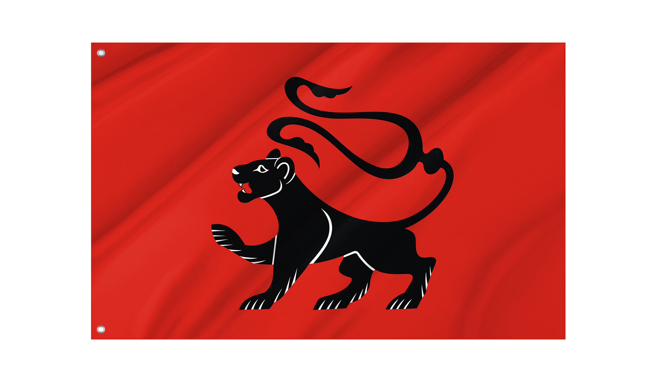 Radlow Flag for Indoor & Outdoor Use