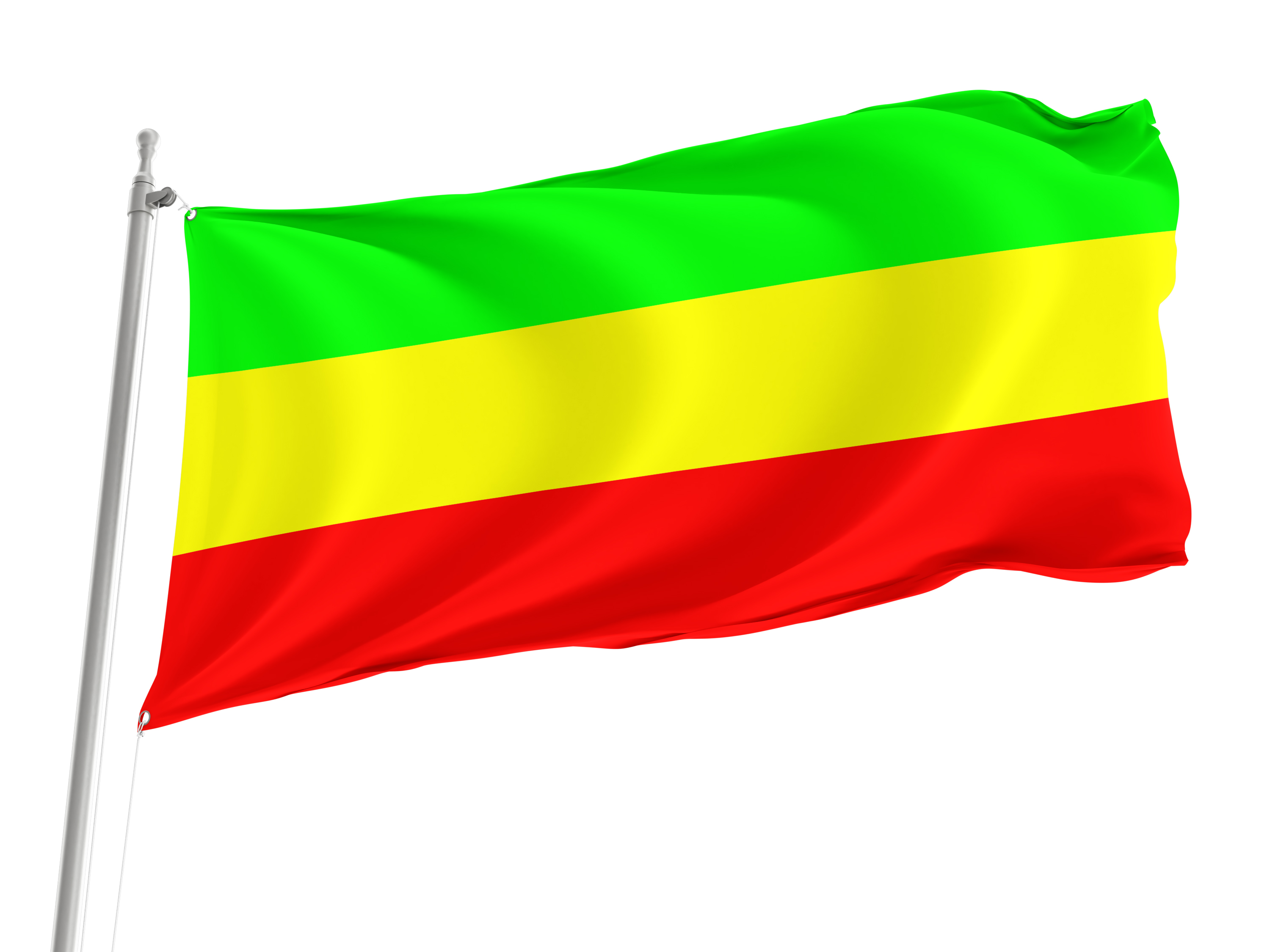 Witnica Flag for Indoor & Outdoor Use