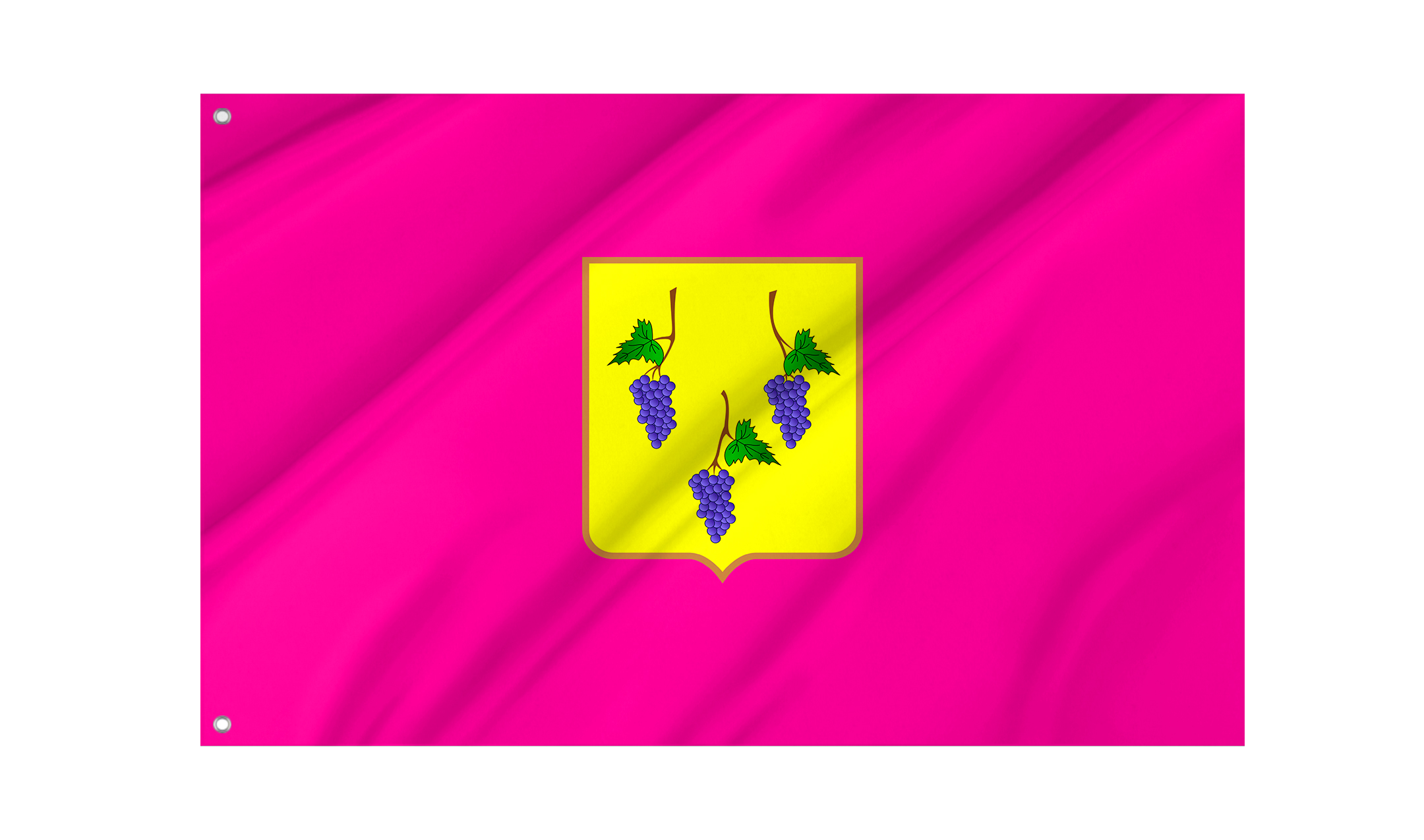Izium Flag for Indoor & Outdoor Use