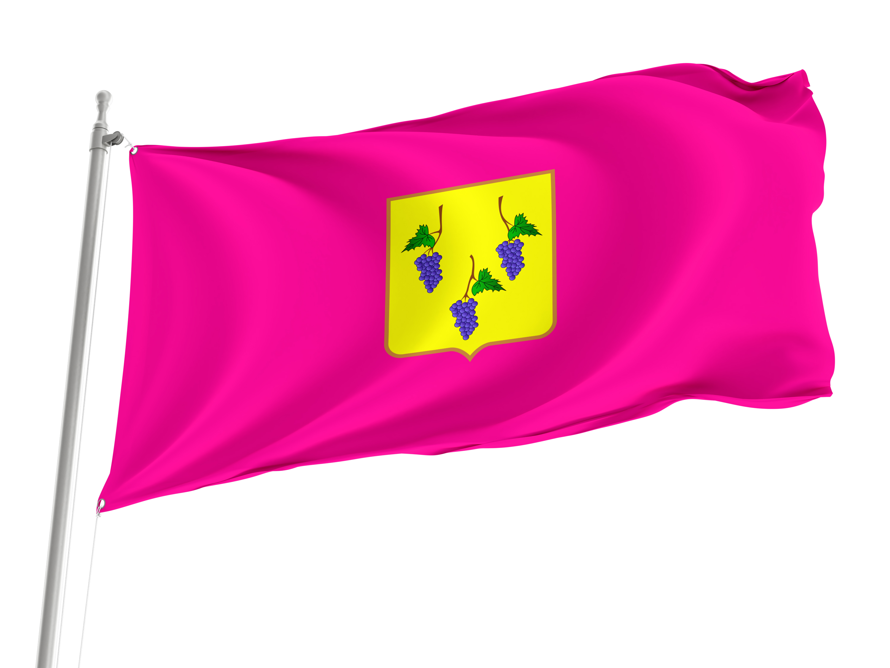 Izium Flag for Indoor & Outdoor Use