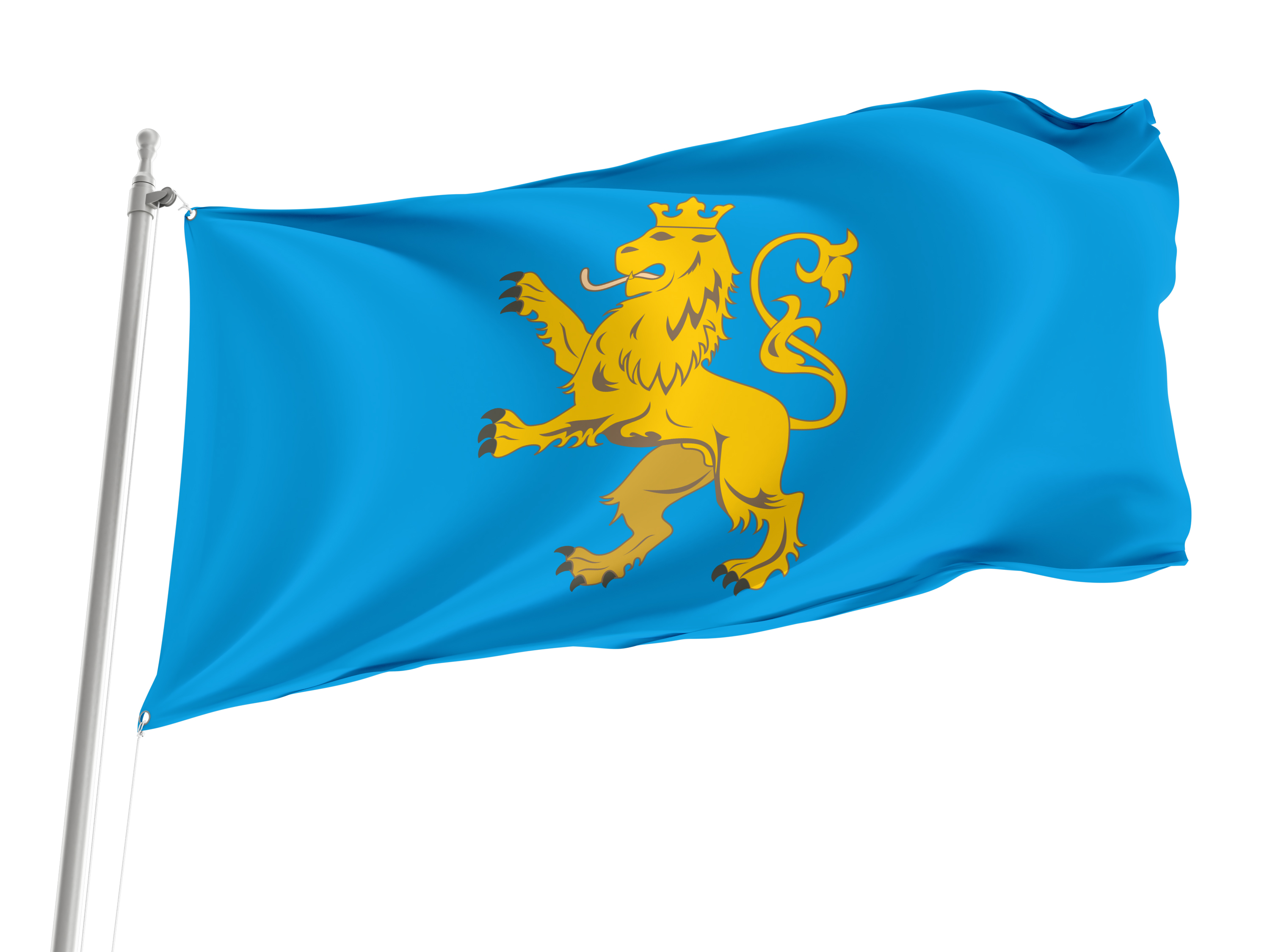 Lviv District Flag for Indoor & Outdoor Use