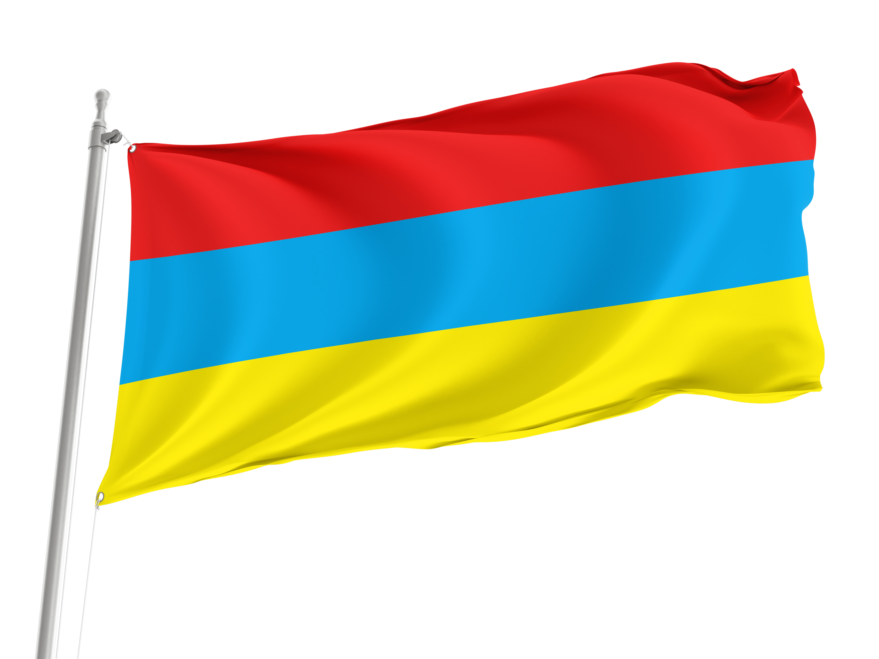 Novoaidar Flag for Indoor & Outdoor Use