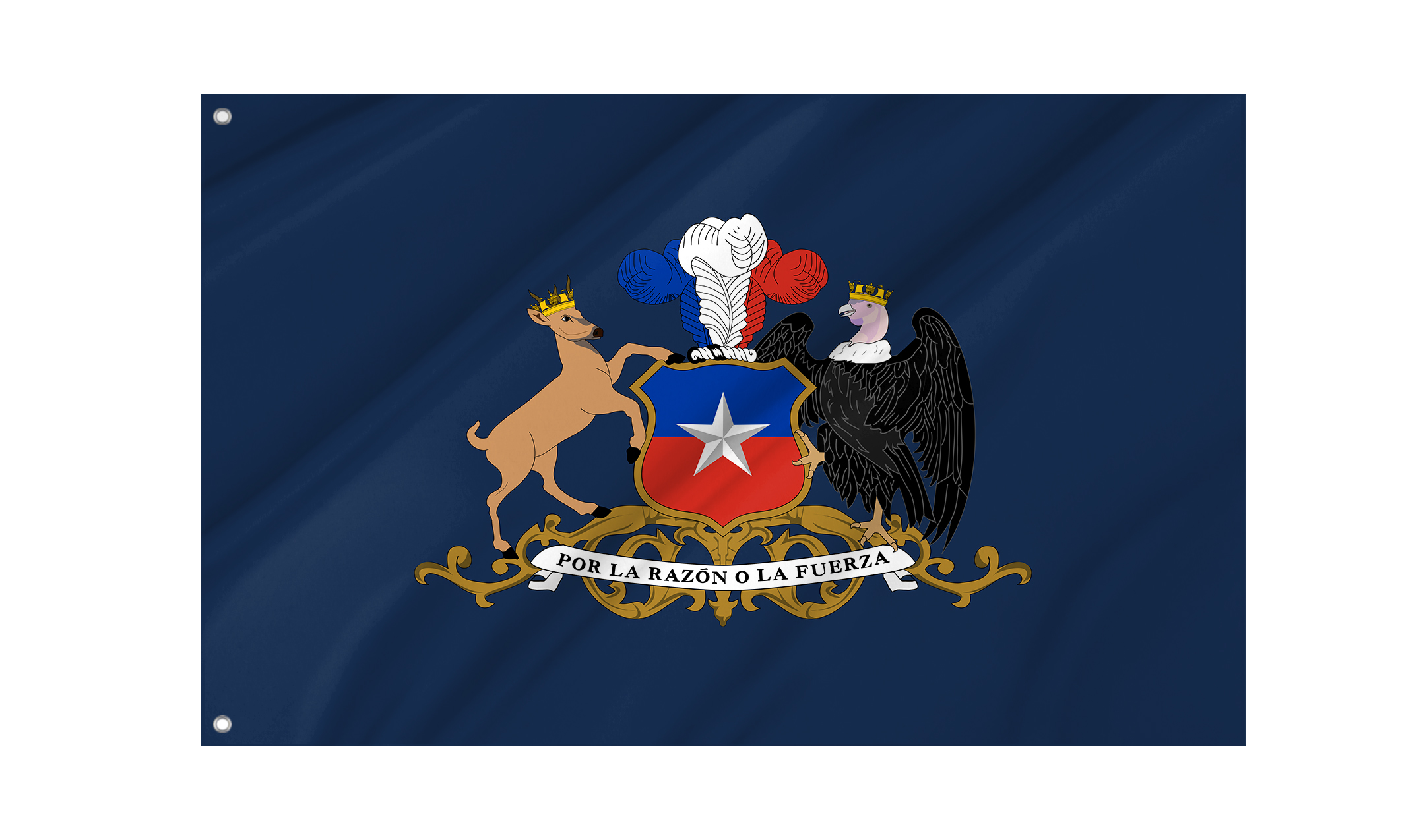 Minister of Defence of Chile Flag for Indoor & Outdoor Use