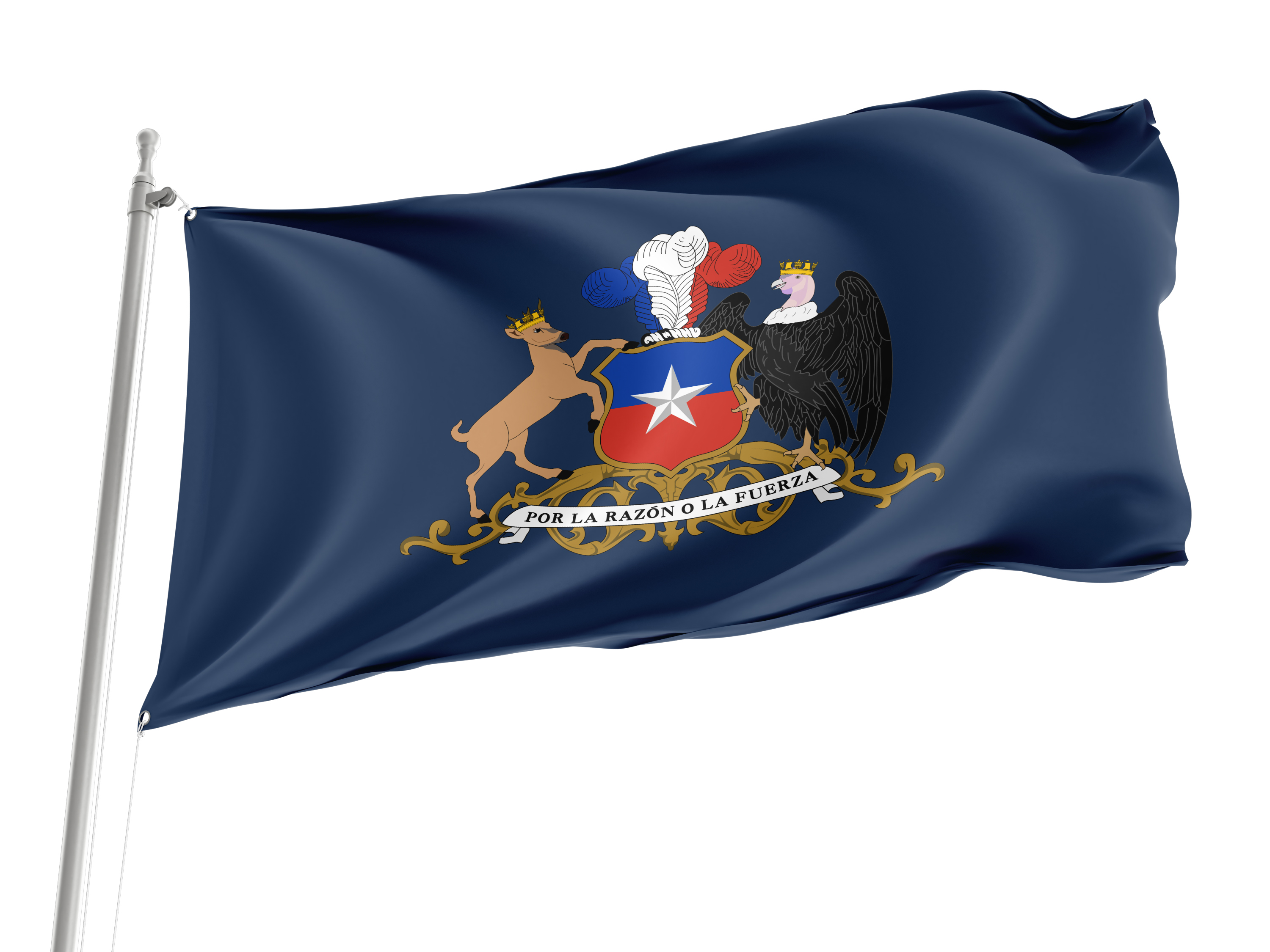 Minister of Defence of Chile Flag for Indoor & Outdoor Use