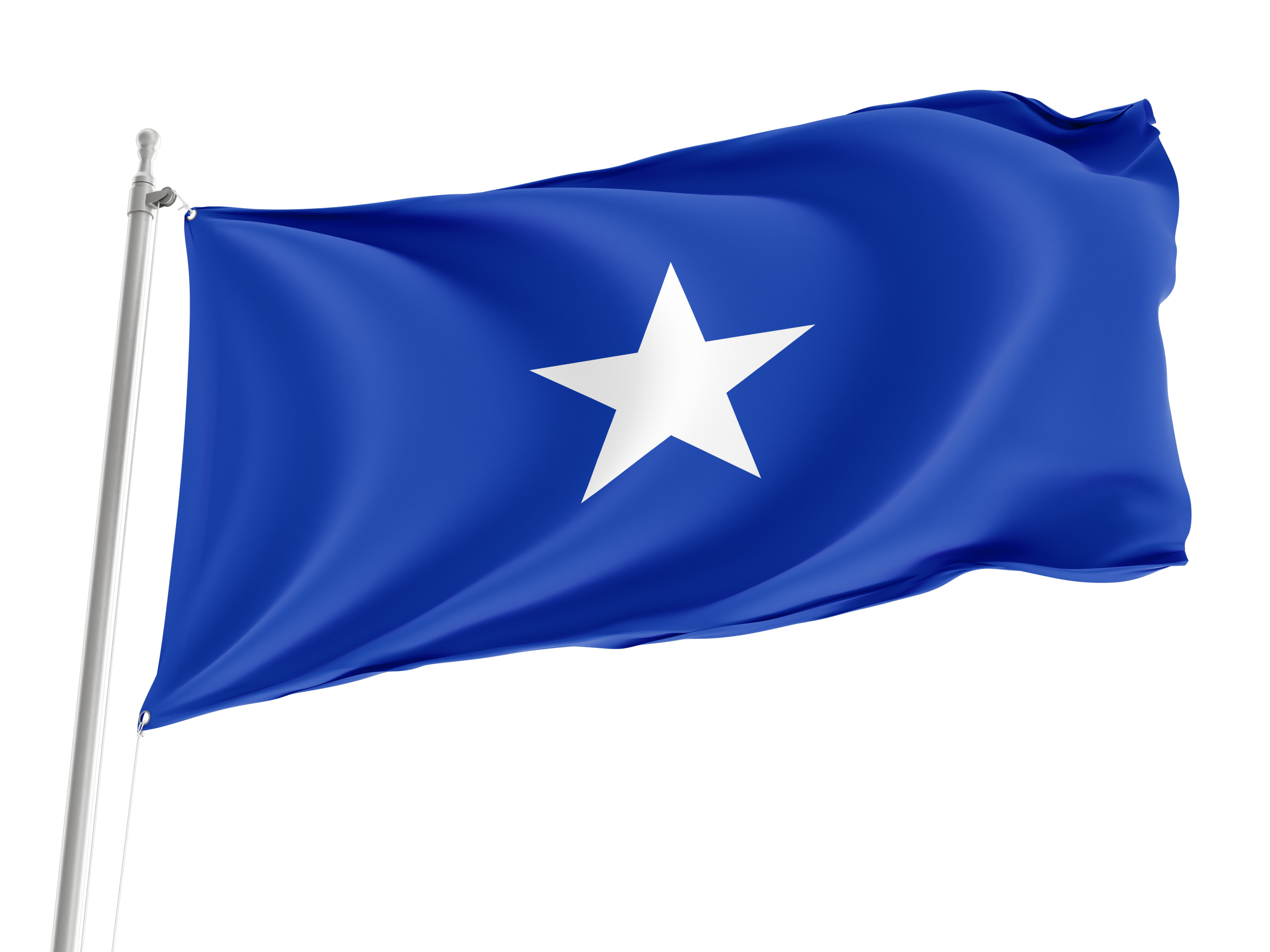 Naval Jack of Chile Flag for Indoor & Outdoor Use