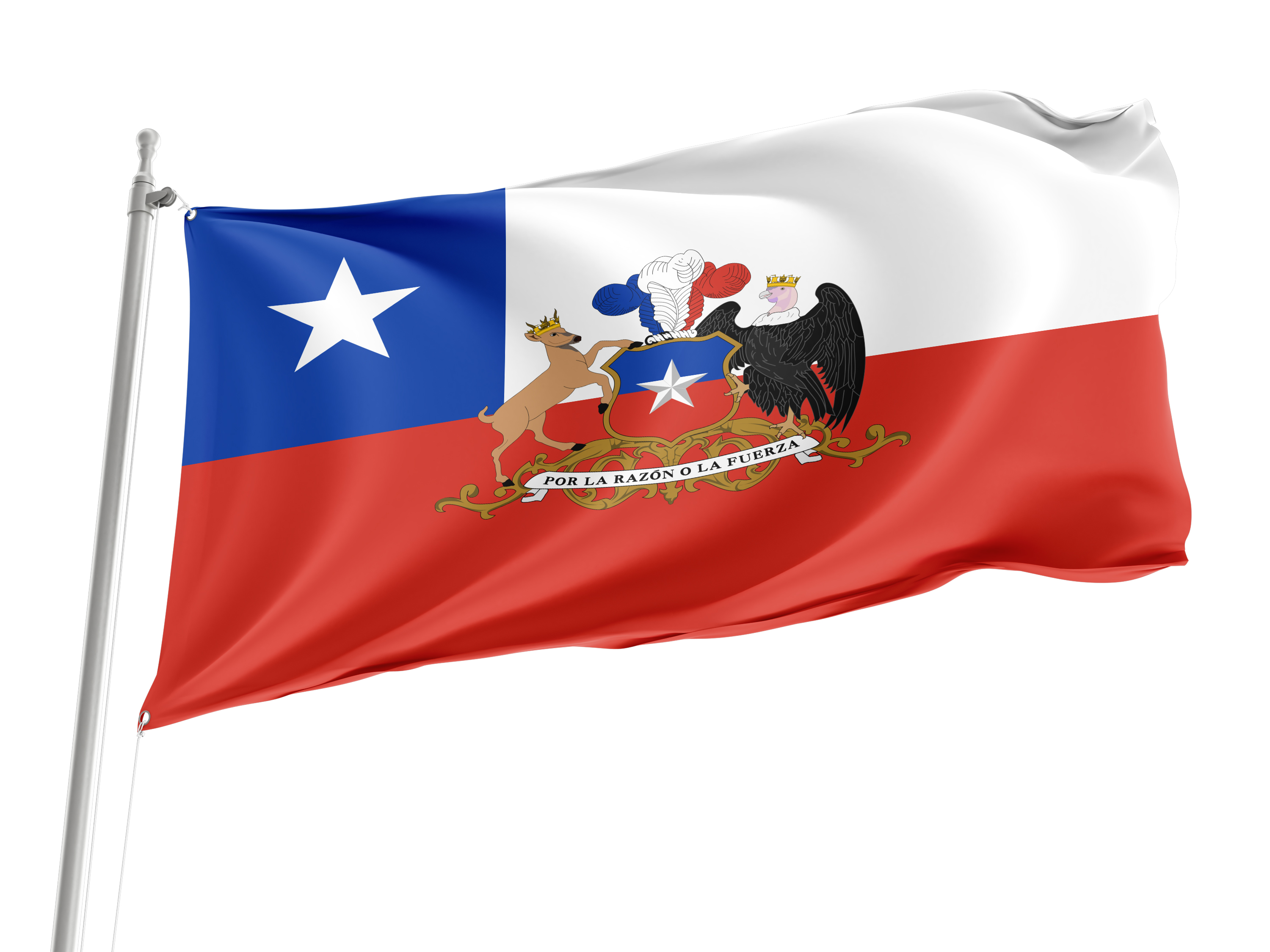 Presidential flag of the Republic of Chile for Indoor & Outdoor Use