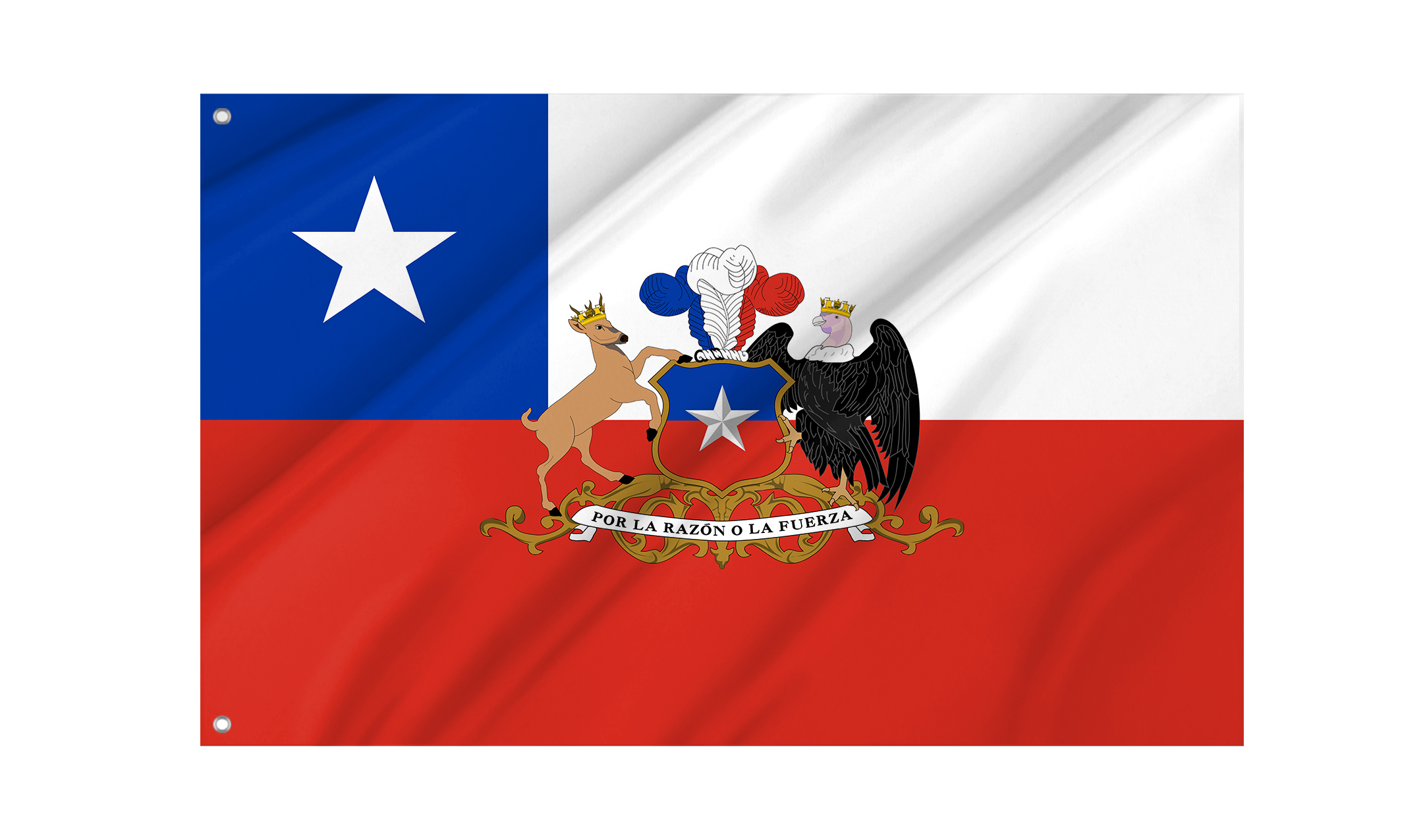 Presidential flag of the Republic of Chile for Indoor & Outdoor Use