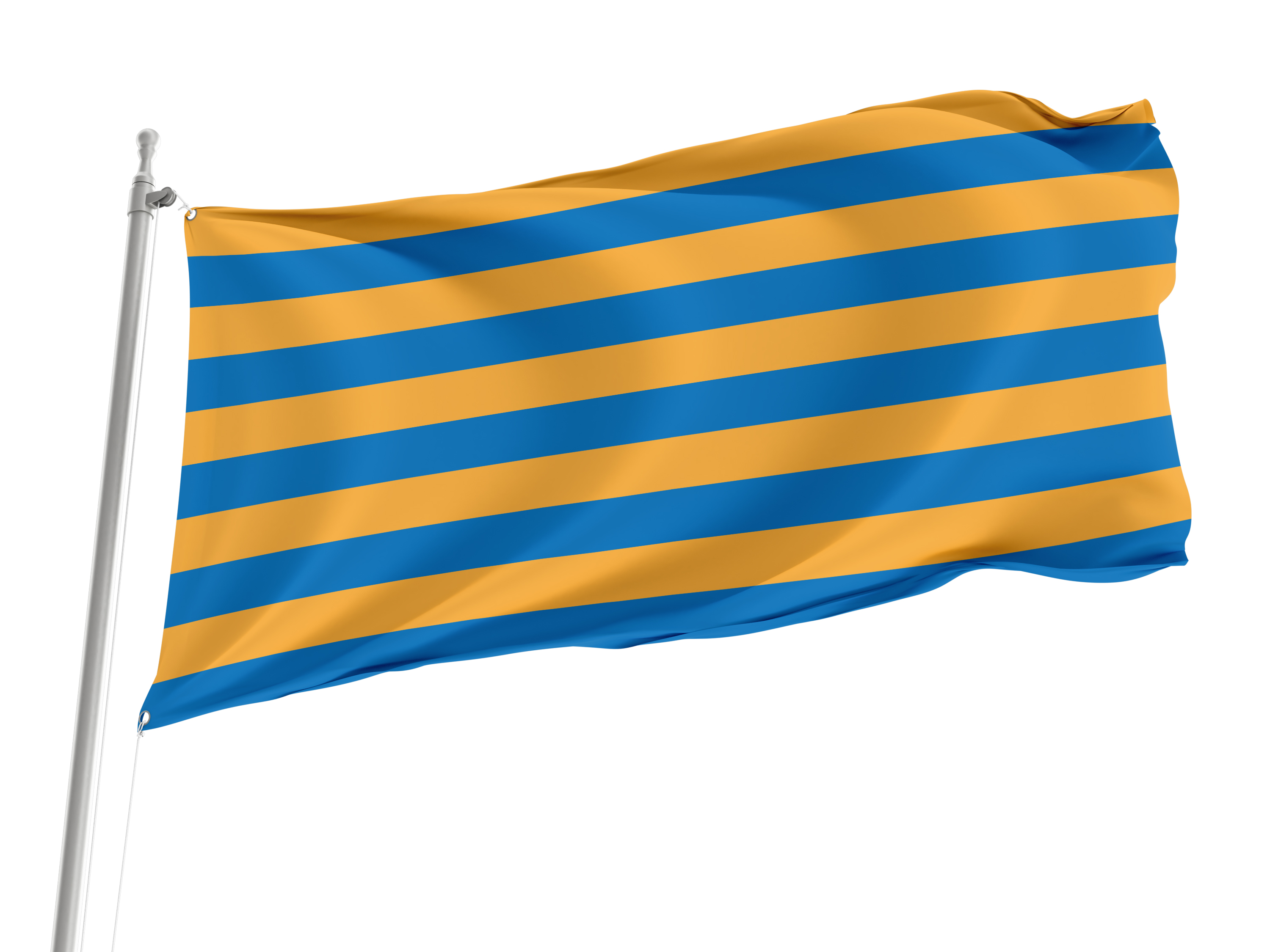 Salisbury Flag for Indoor & Outdoor Use
