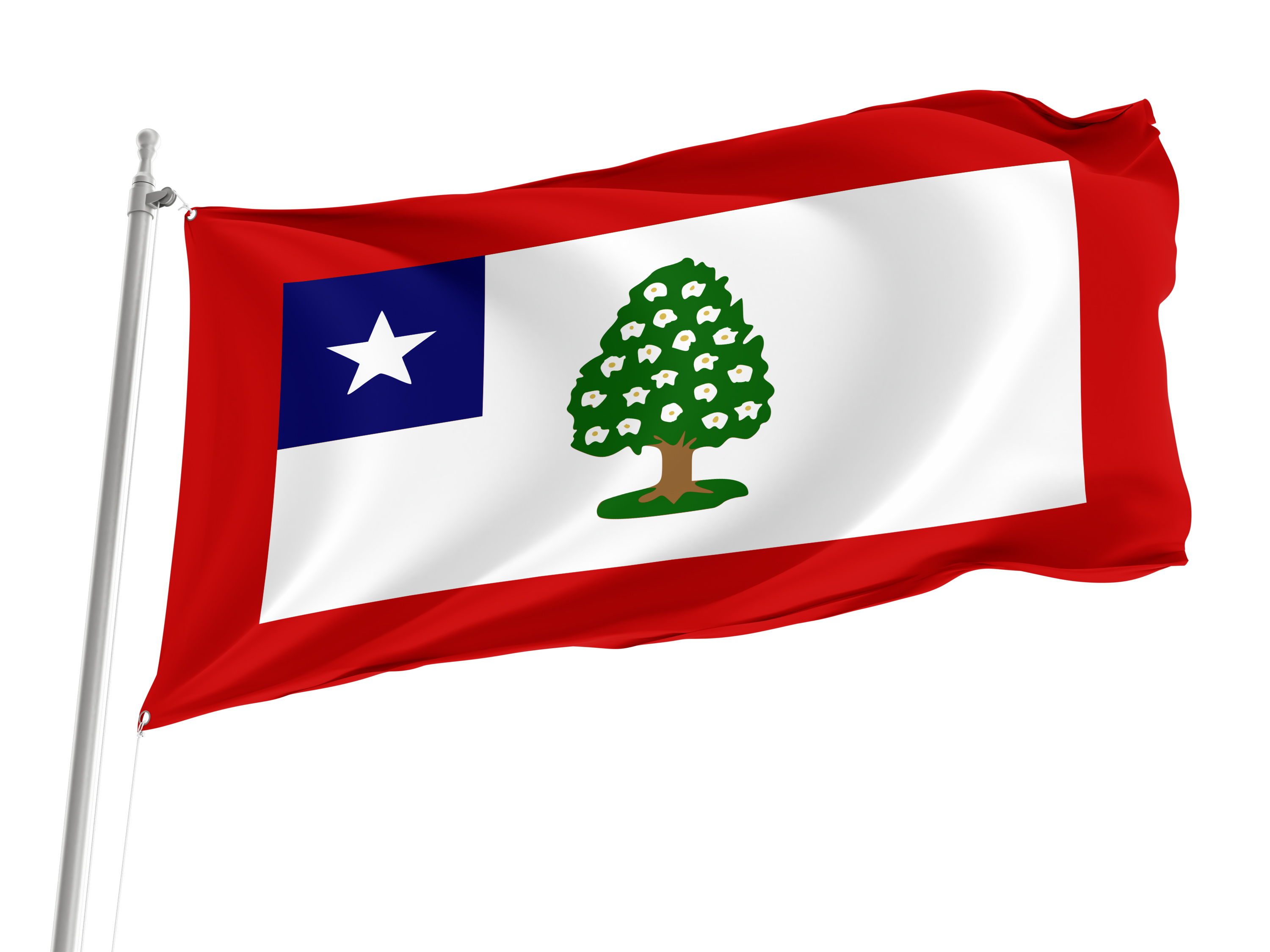 Mississippi in the American Civil War Flag for Indoor & Outdoor Use